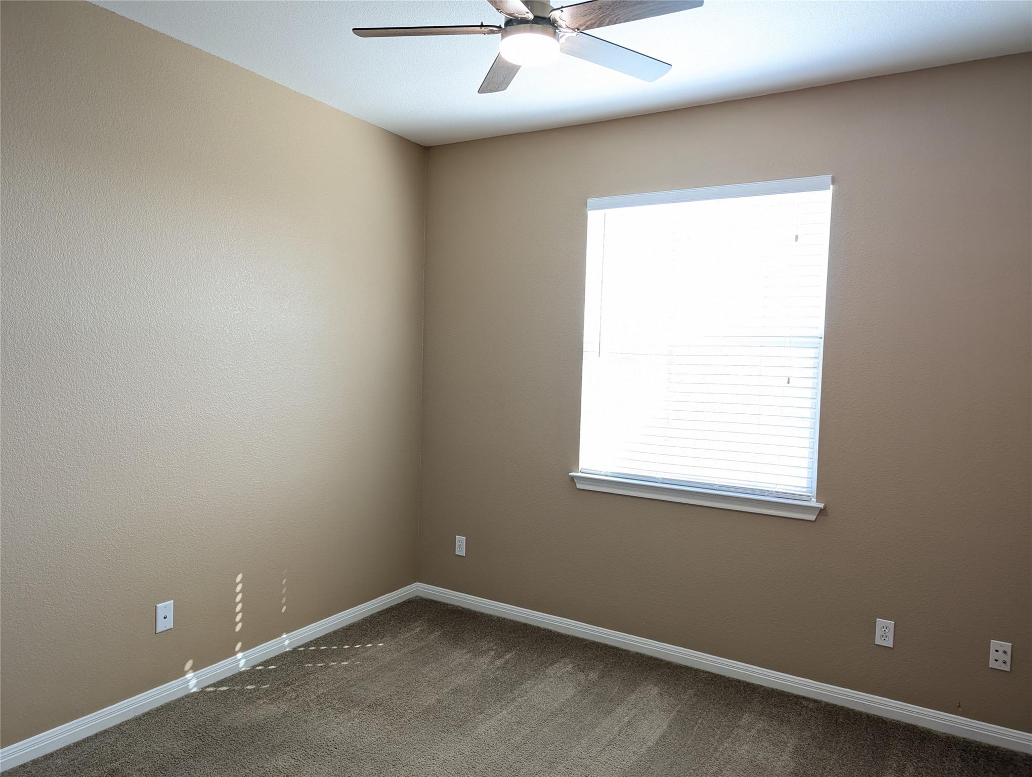 1101 E Parmer Ln 309 Property Photo 14