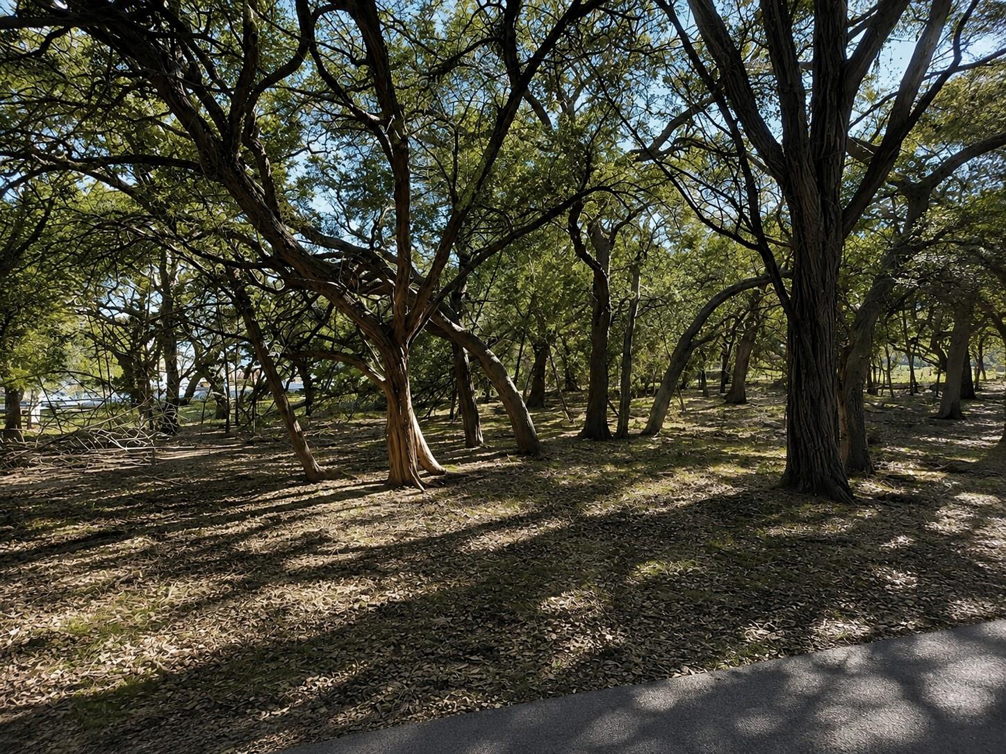 1204 Fawn Park Property Photo 11