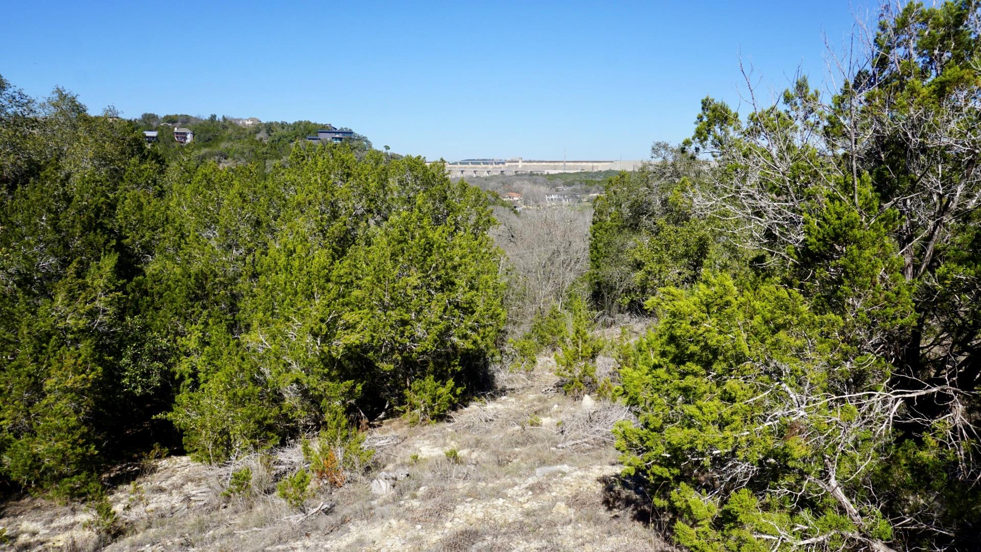 2506 Geronimo Trl Property Photo 2