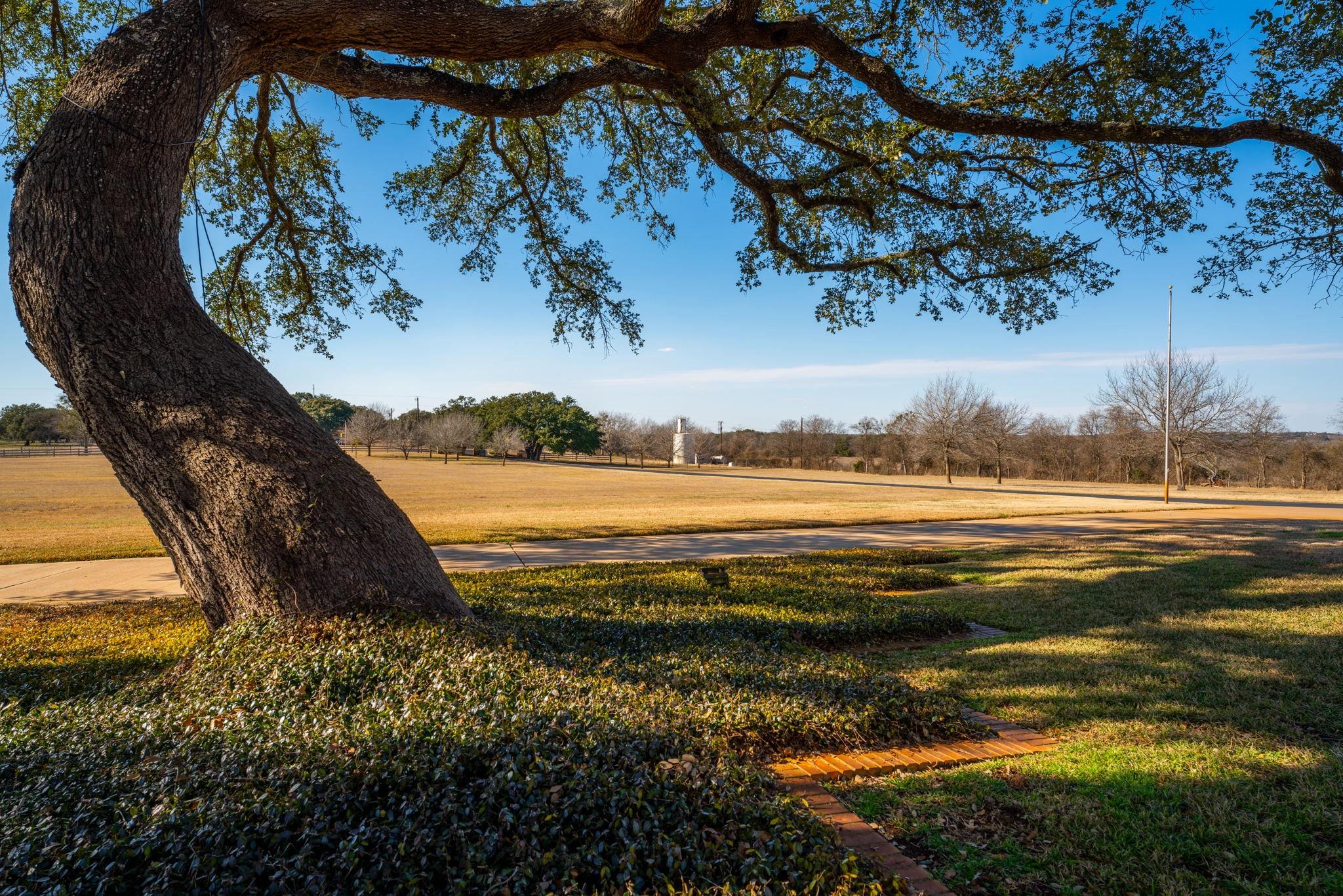 6731 E Fm 1123 None Property Photo 20