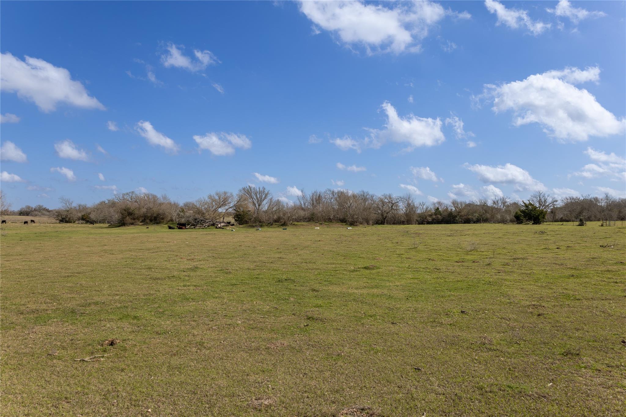 Lot 10 Mule Creek Road Property Photo 6