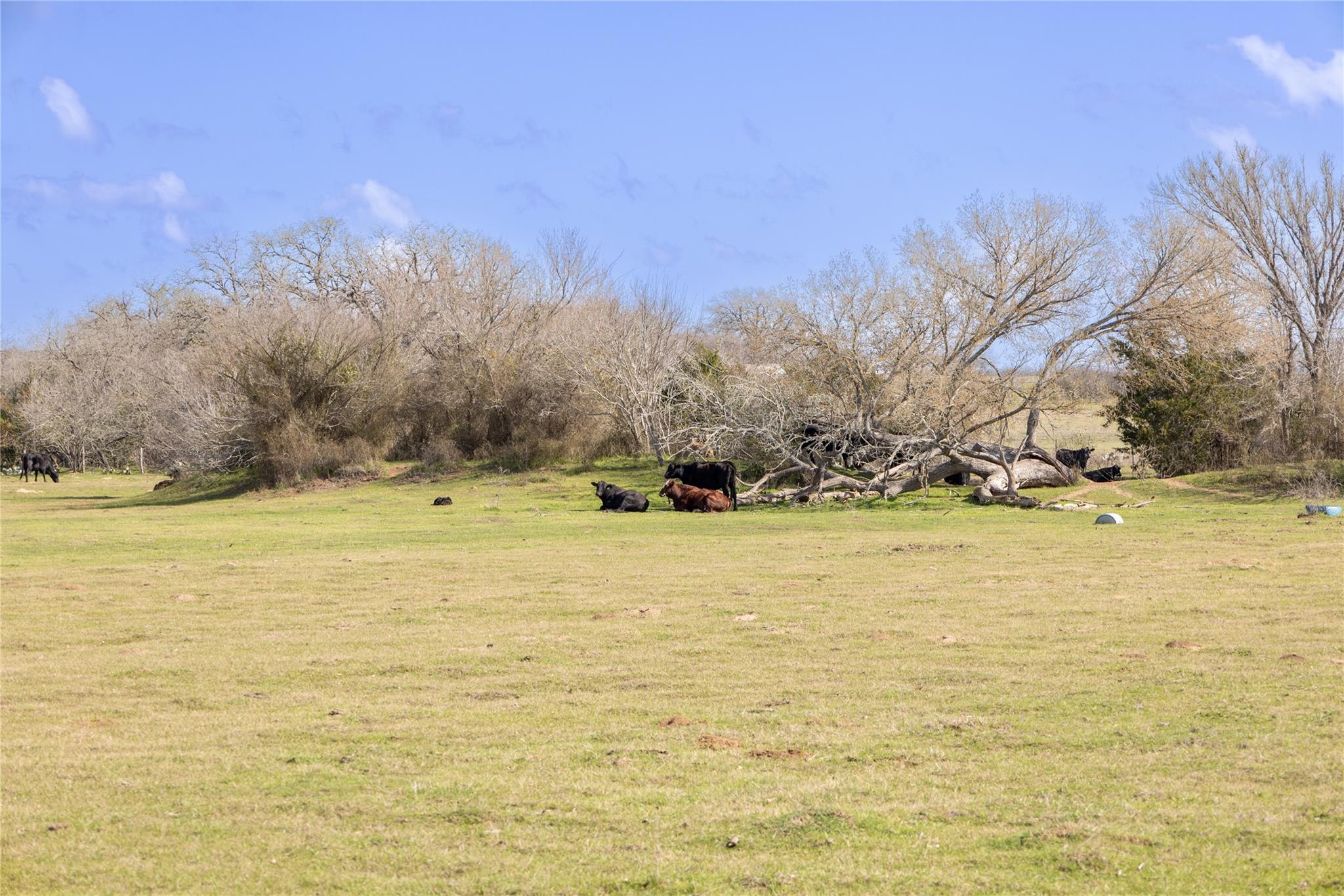 Lot 10 Mule Creek Road Property Photo 7