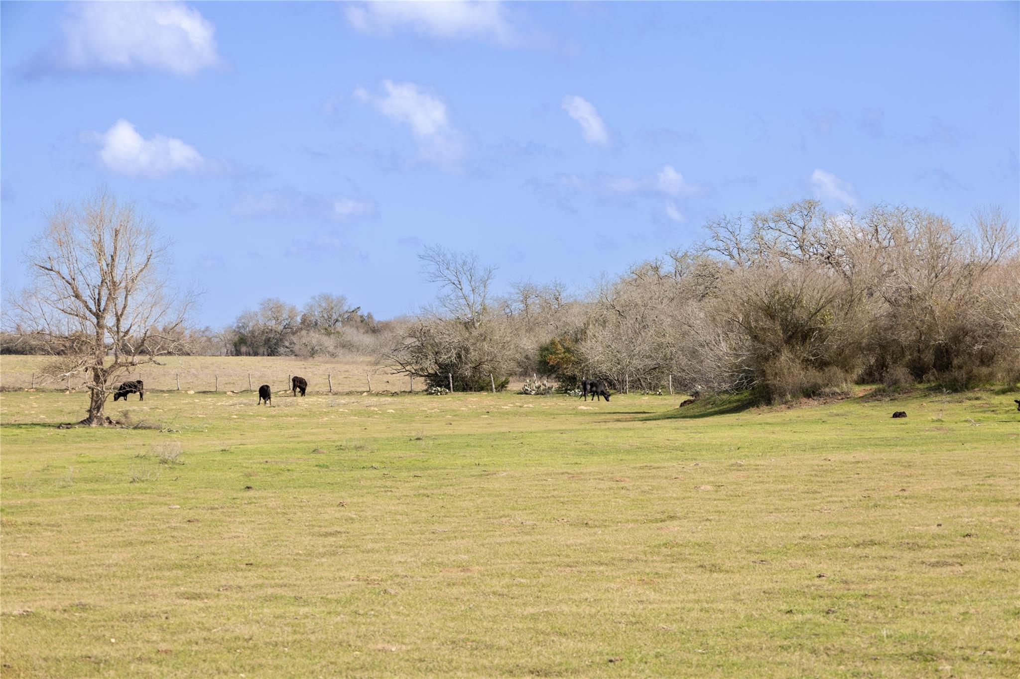 Lot 10 Mule Creek Road Property Photo 8