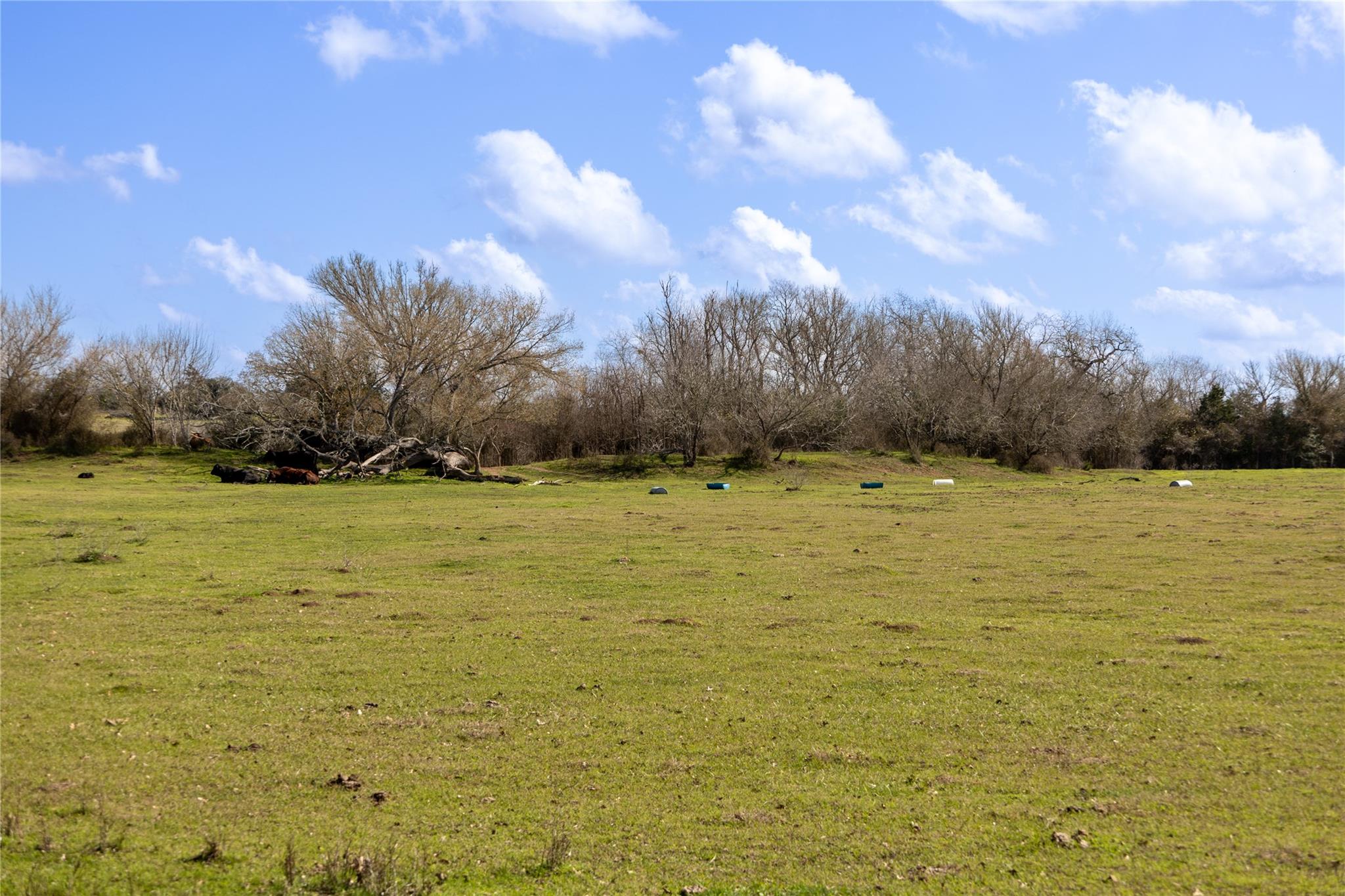 Lot 10 Mule Creek Road Property Photo 11