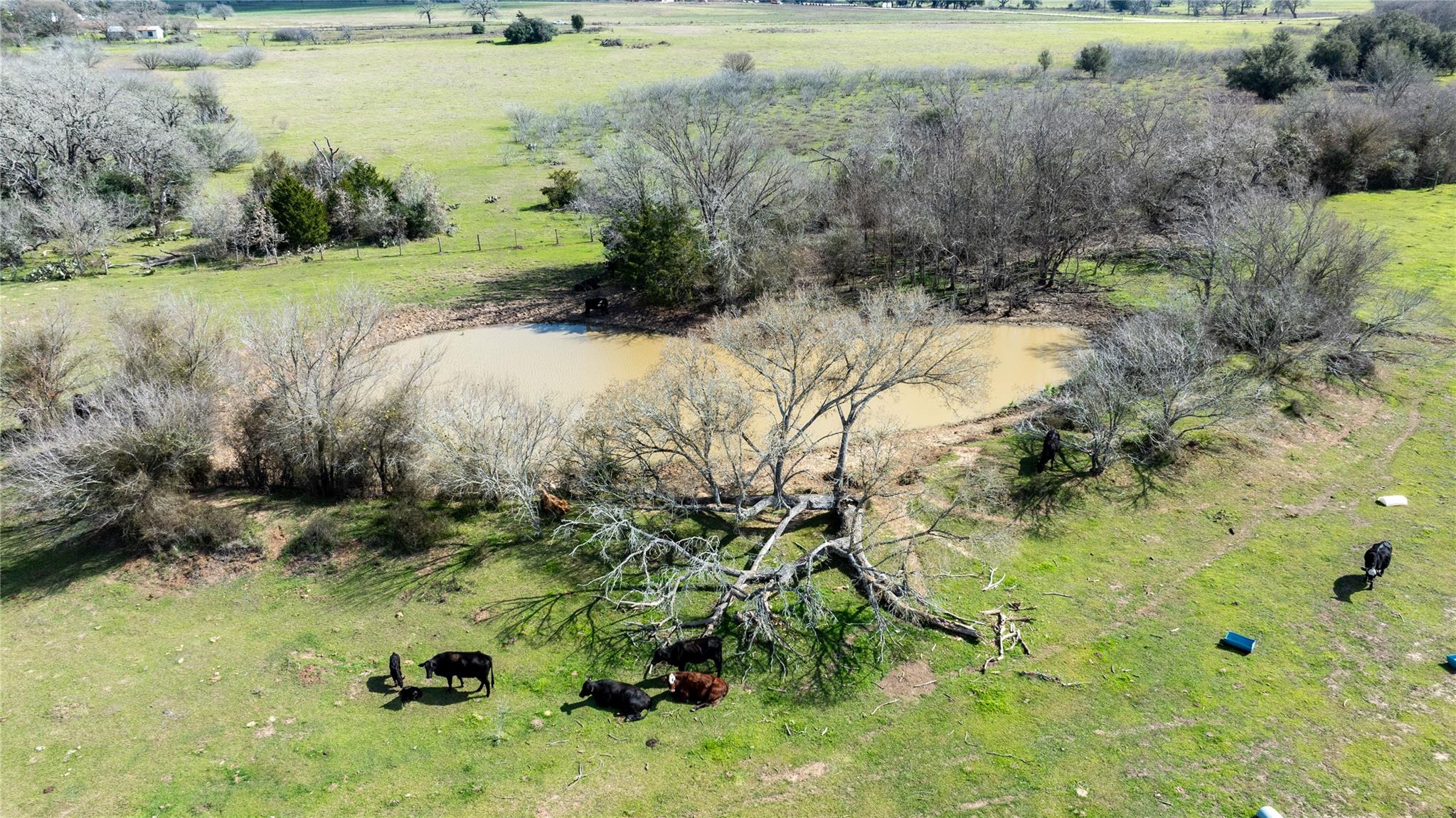 Lot 10 Mule Creek Road Property Photo 12