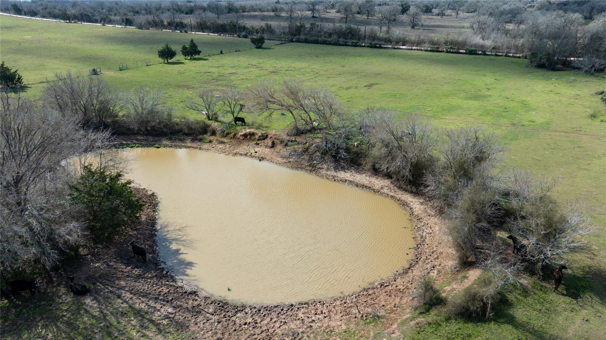 Lot 10 Mule Creek Road Property Photo 13