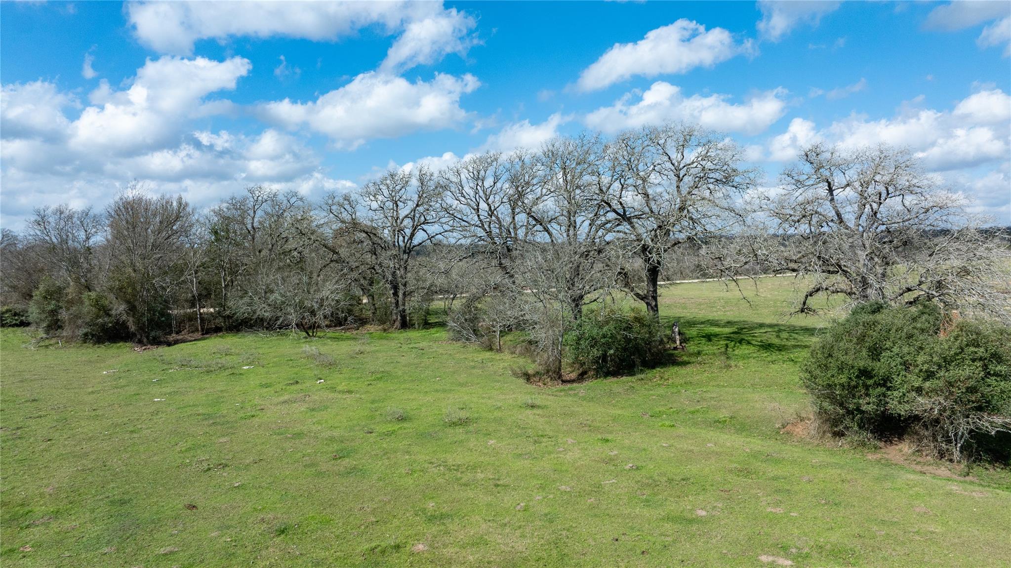 Lot 10 Mule Creek Road Property Photo 15
