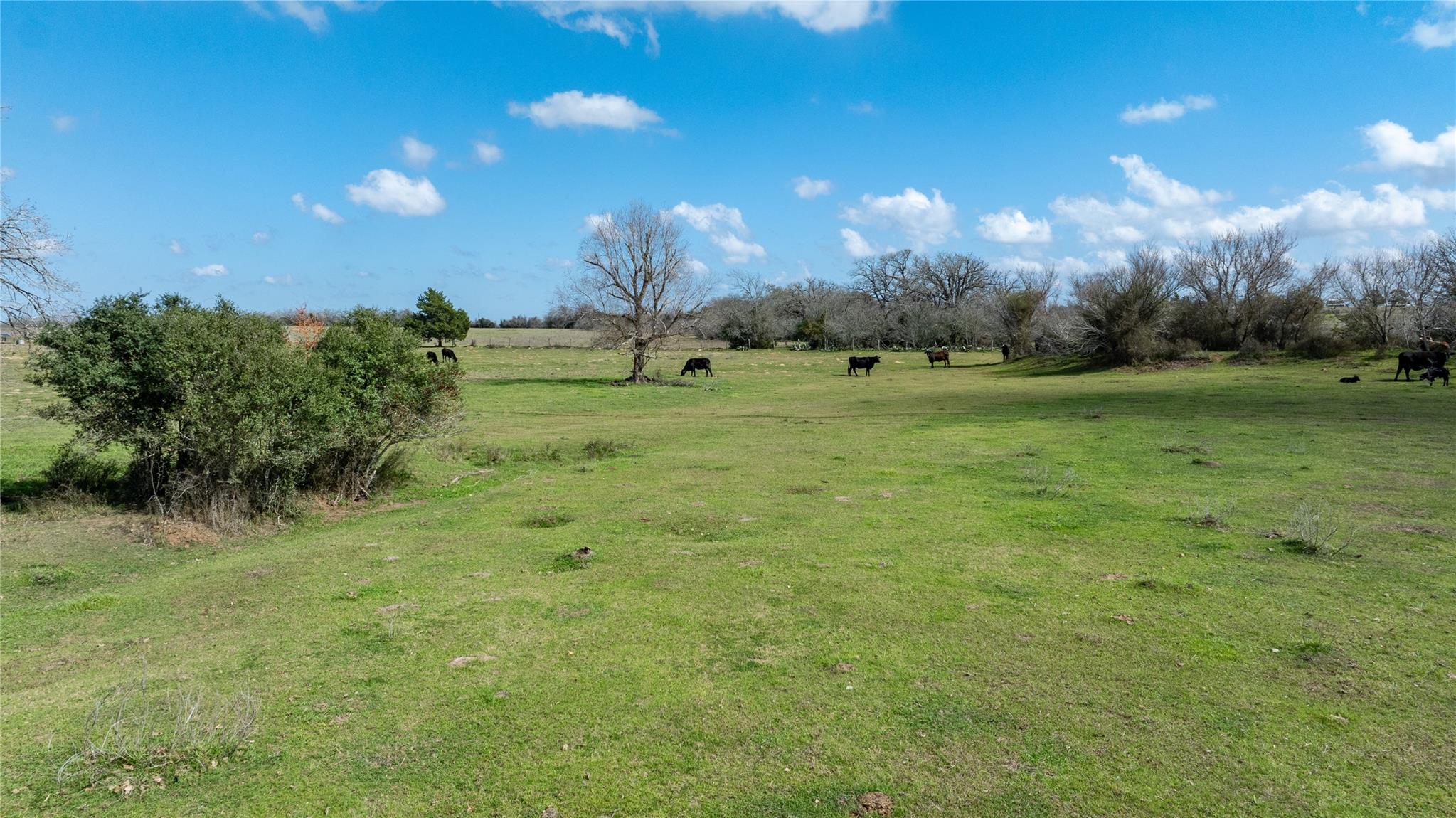 Lot 10 Mule Creek Road Property Photo 16