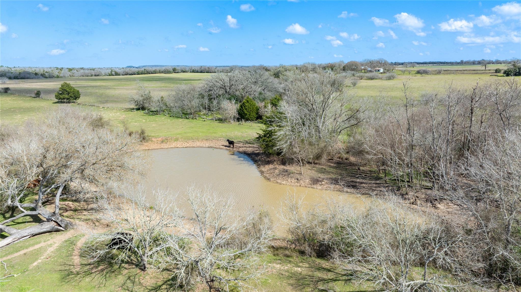 Lot 10 Mule Creek Road Property Photo 17