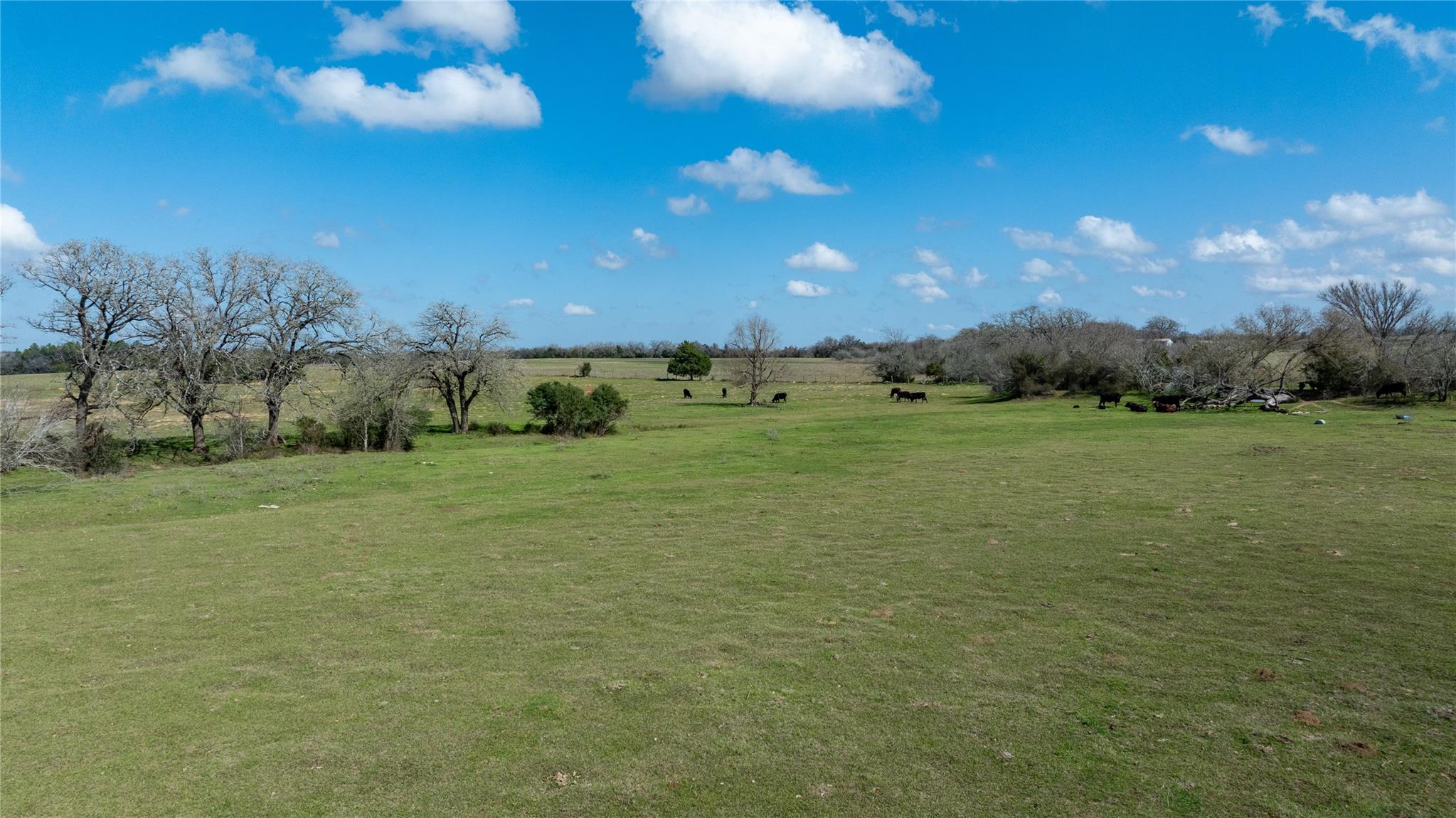 Lot 10 Mule Creek Road Property Photo 18