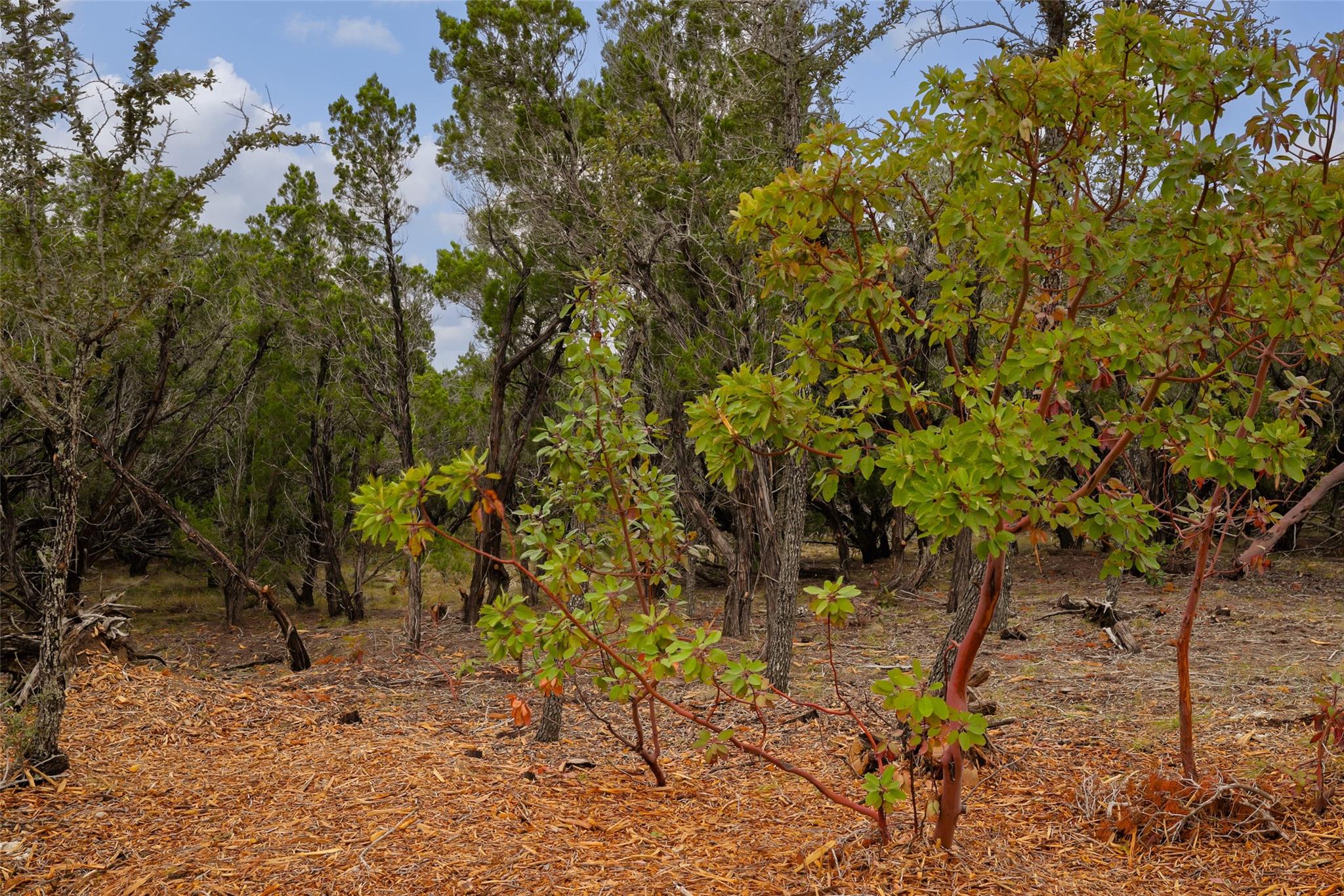 2900 Stagecoach Ranch Loop Property Photo 1