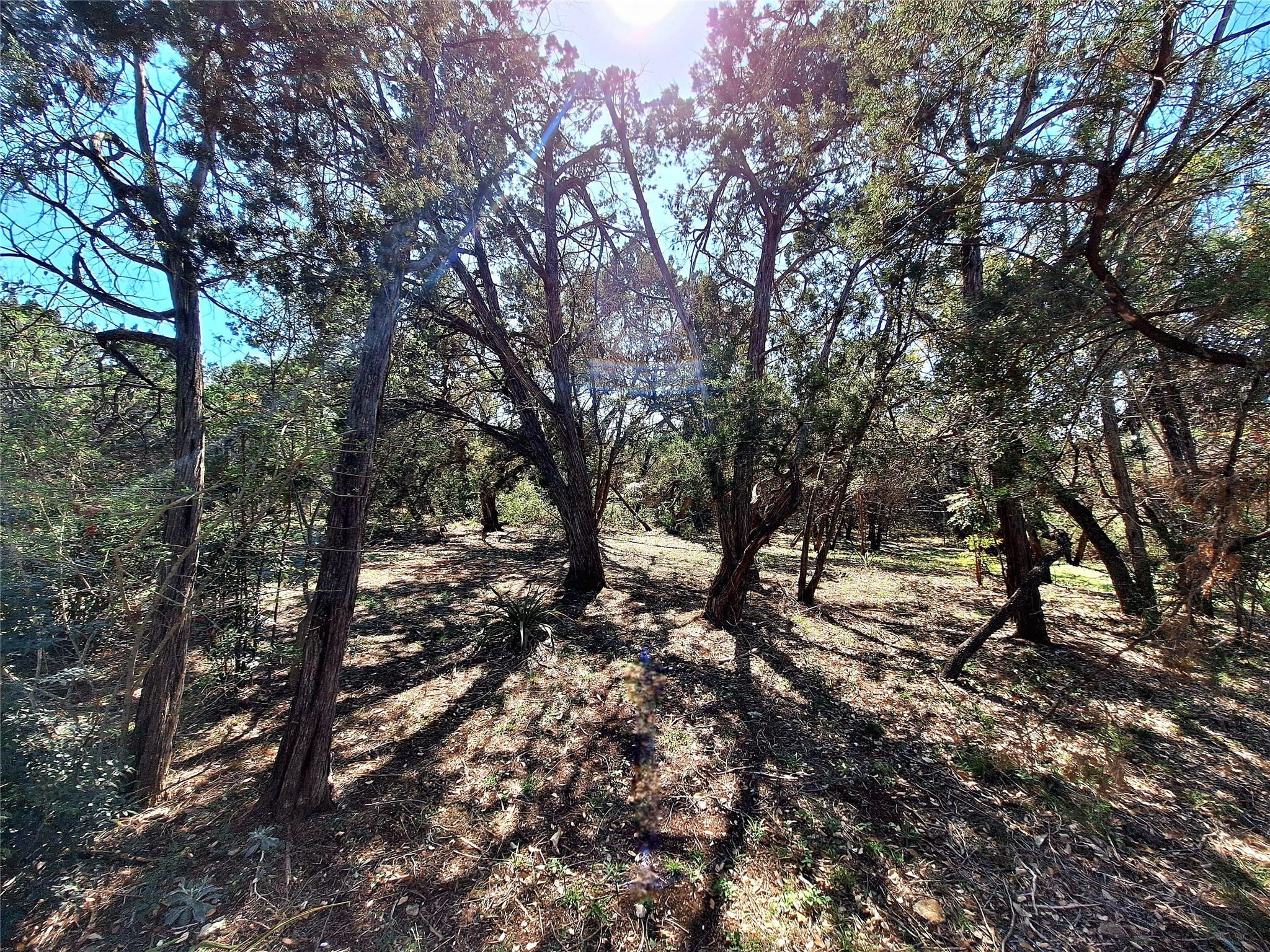 9011 Dorella Ln Property Photo 8