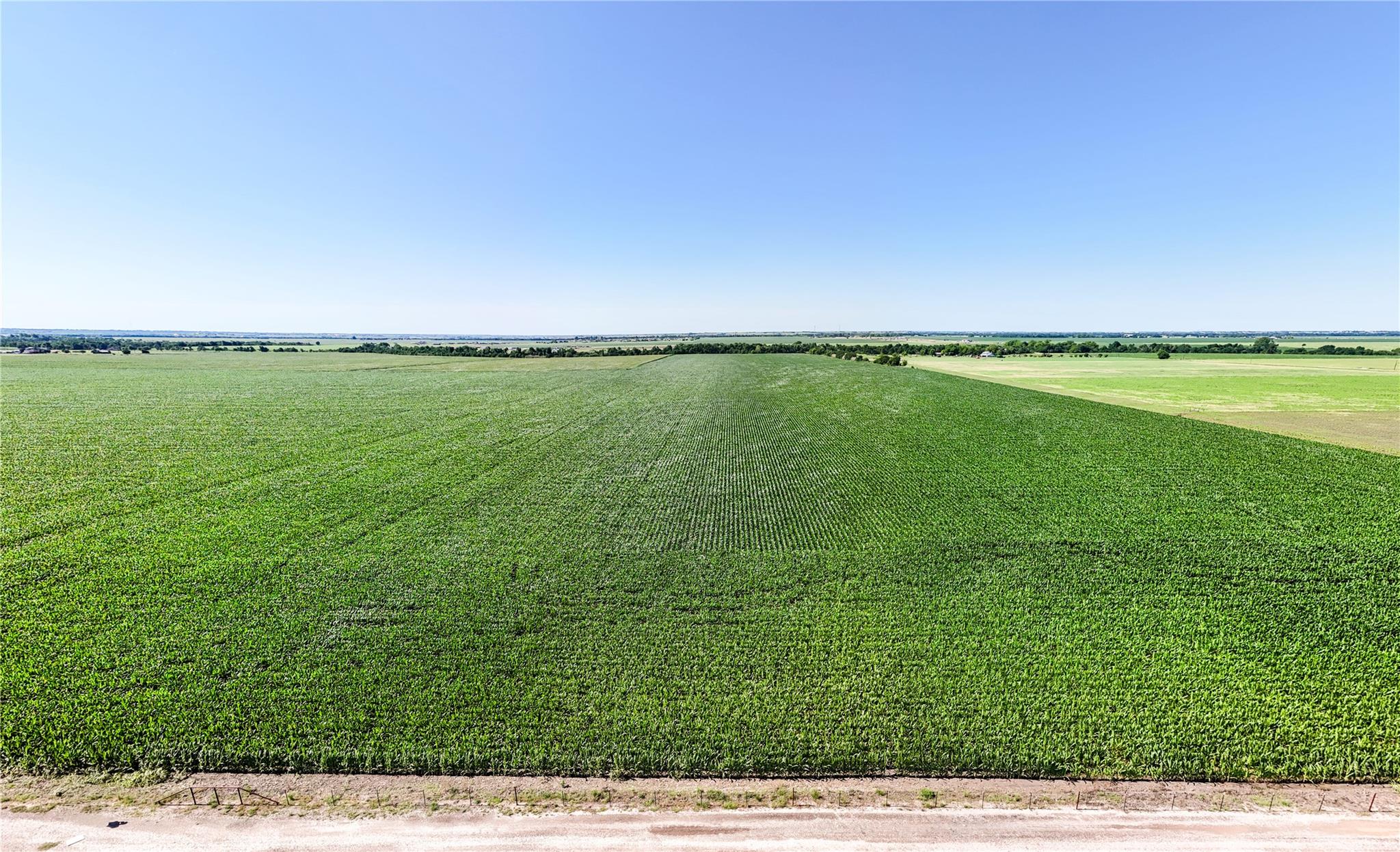 0 County Road 405 None Property Photo 11