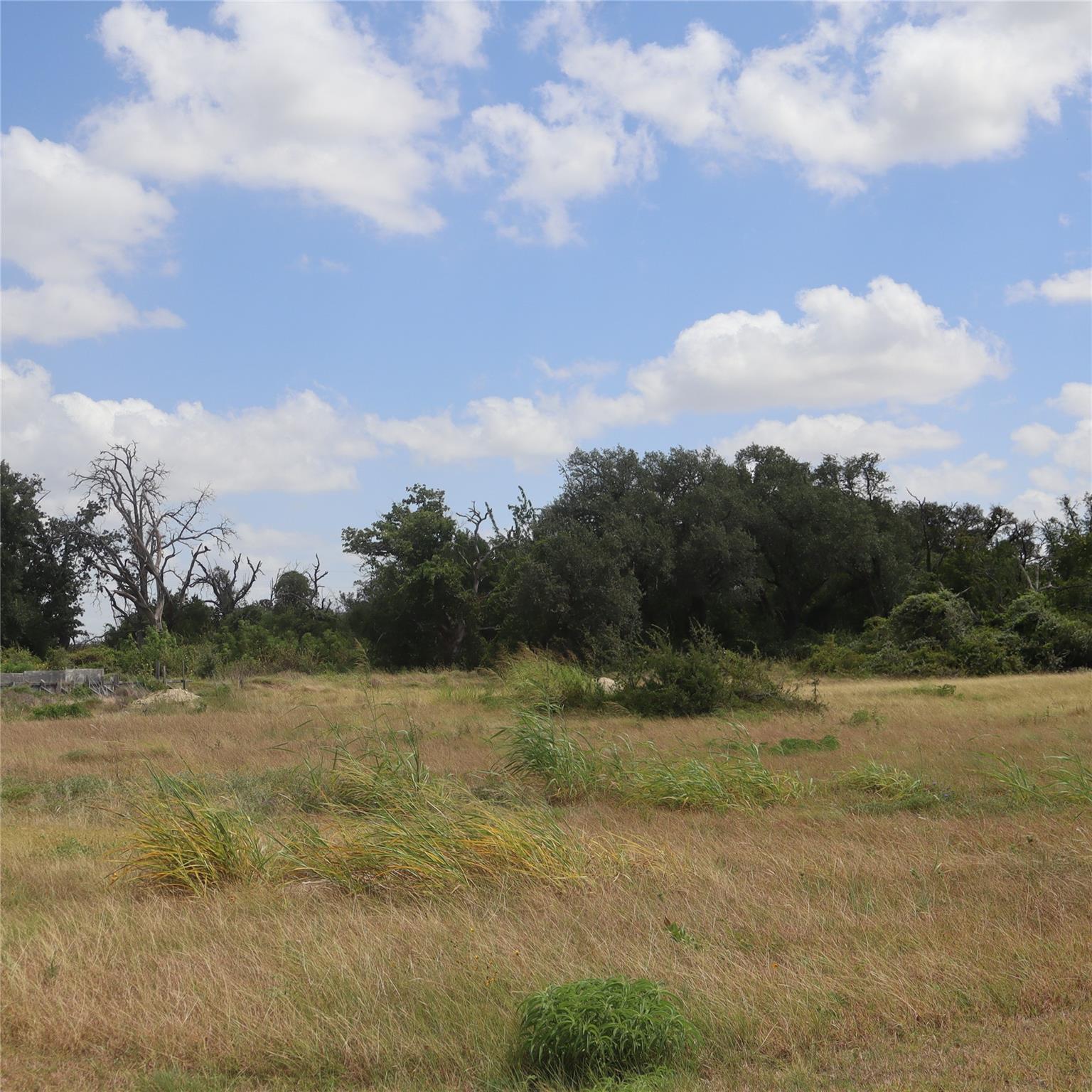 104 Mesones Rd Property Photo 4