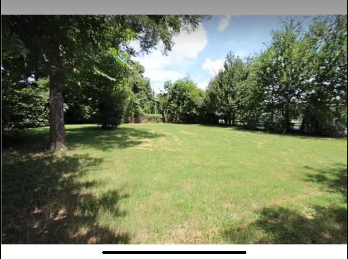 1305 Pine St Property Photo 24