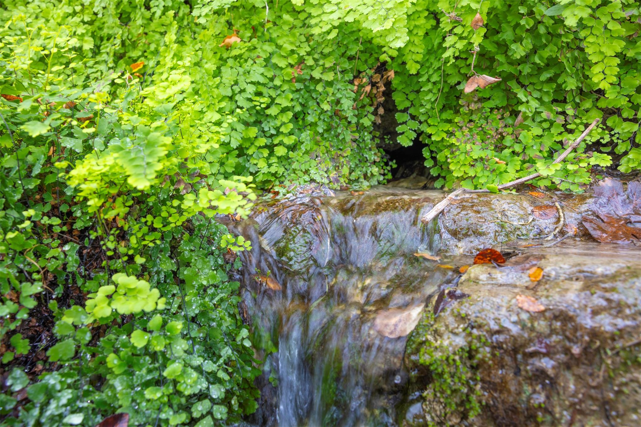 000 River Run Property Photo 15