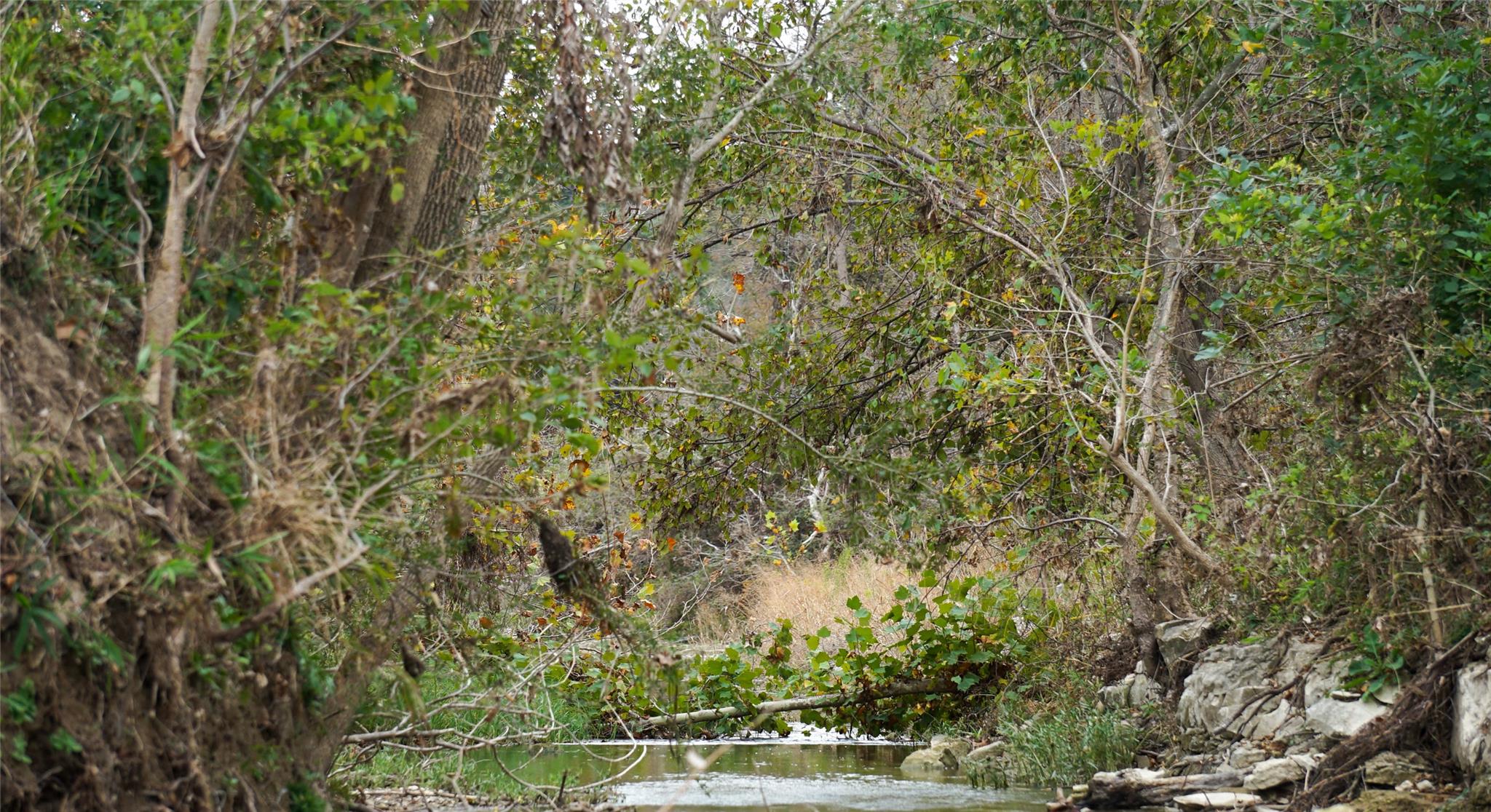 000 River Run Property Photo 32