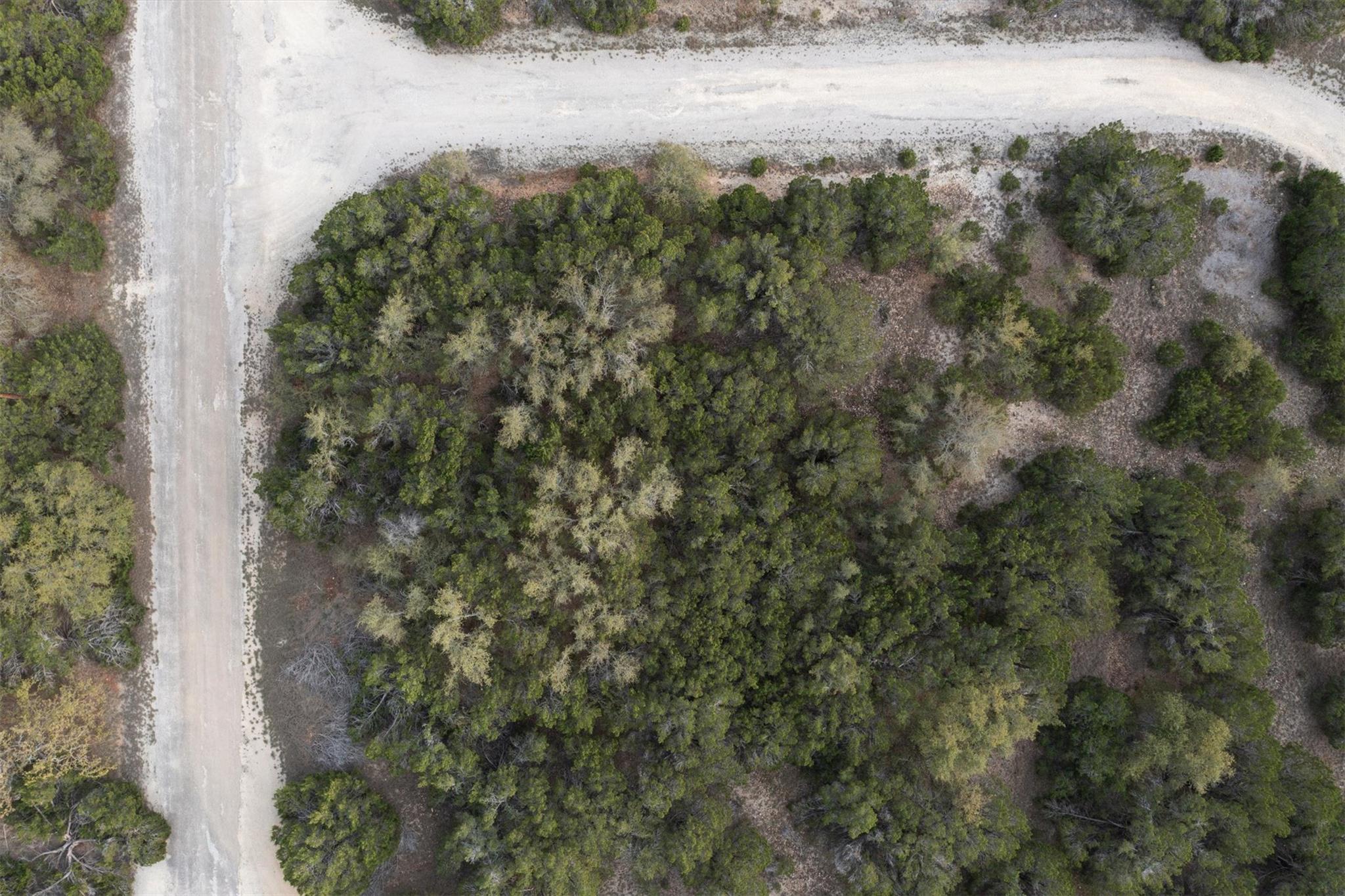 9400 Bar-k Ranch Rd Property Photo 11