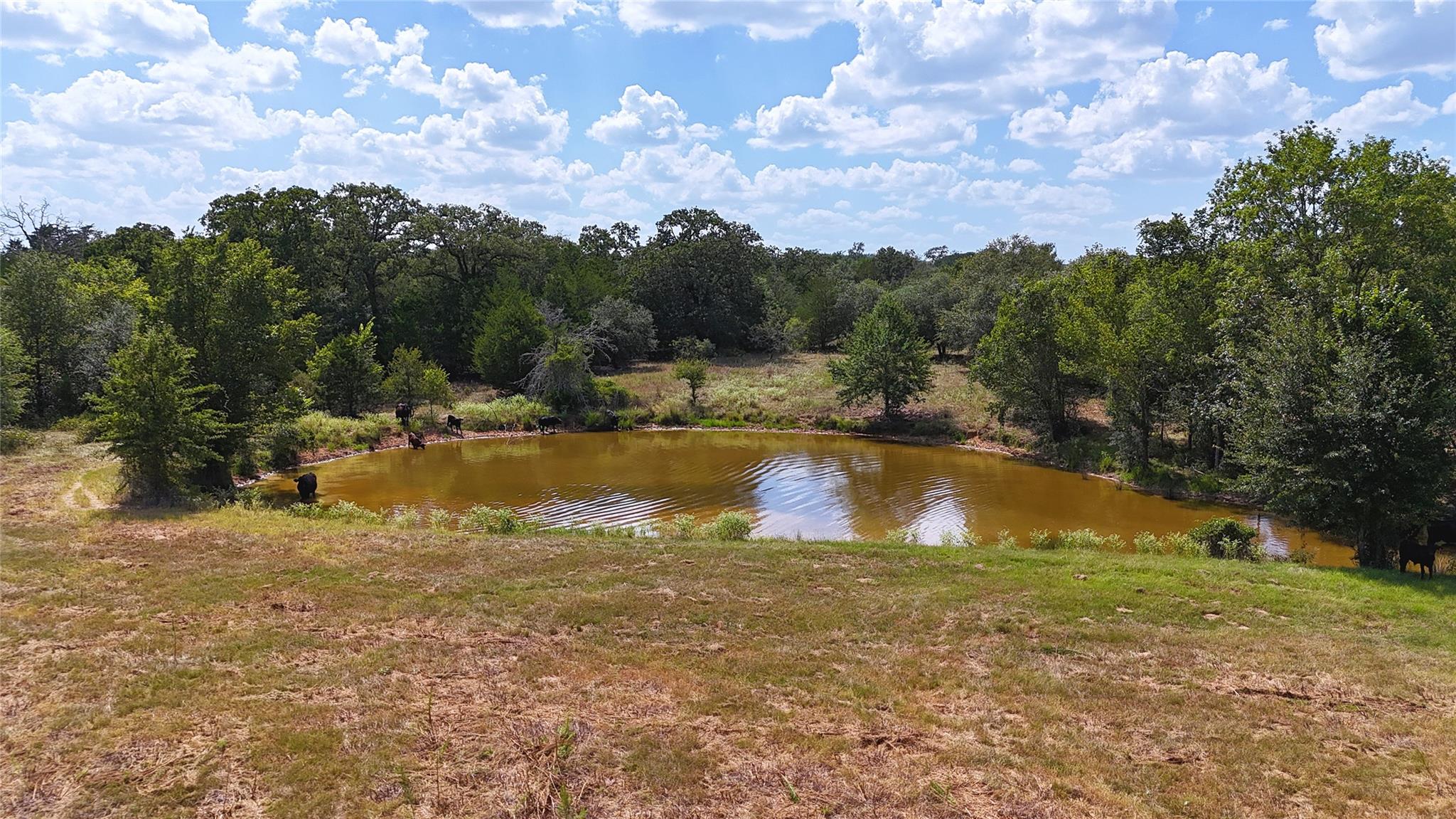 Tbd St Delight Rd (tracts 8 & 13) None Property Photo 7