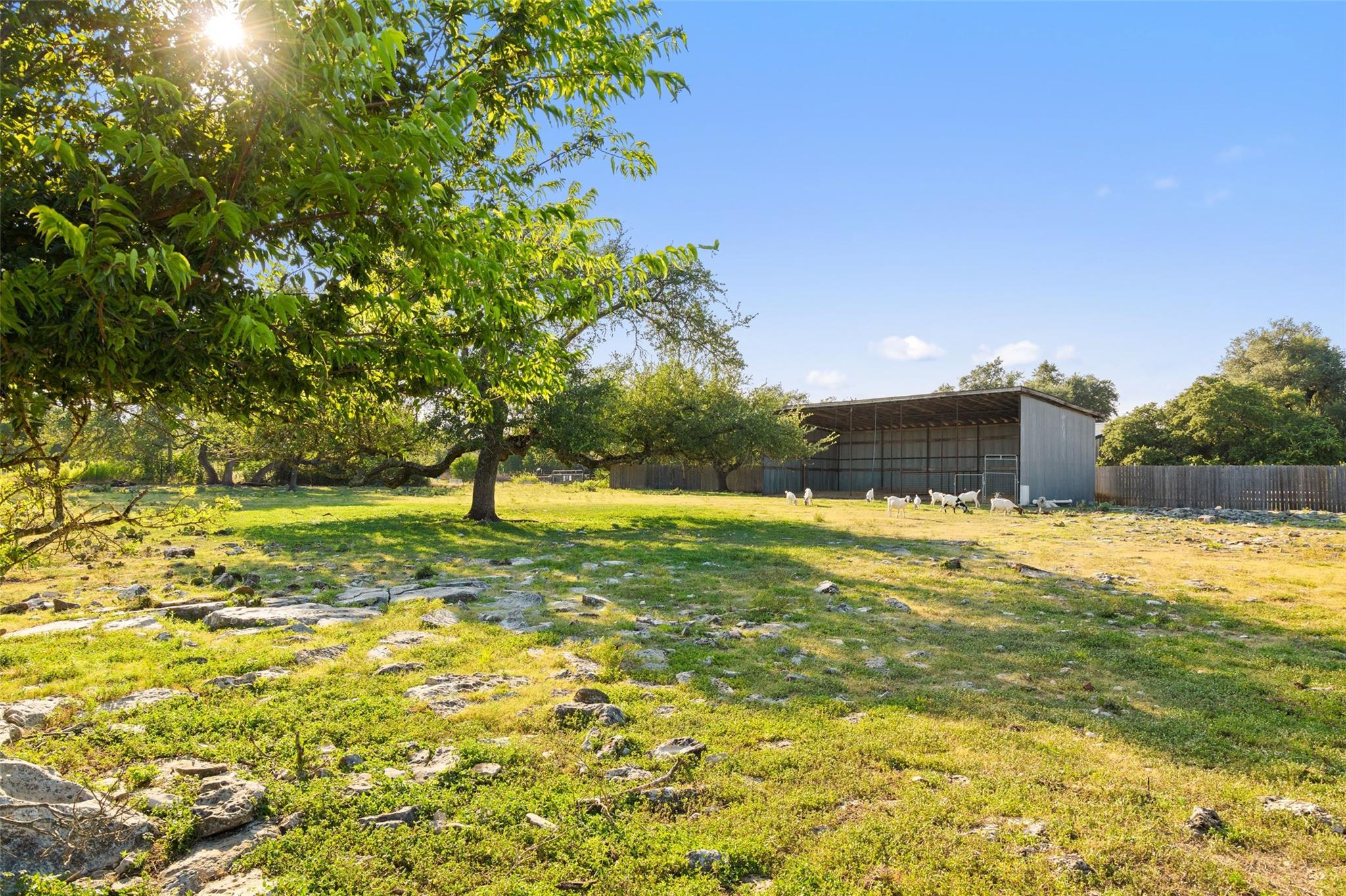2501 Lone Man Mountain Rd Property Photo 35