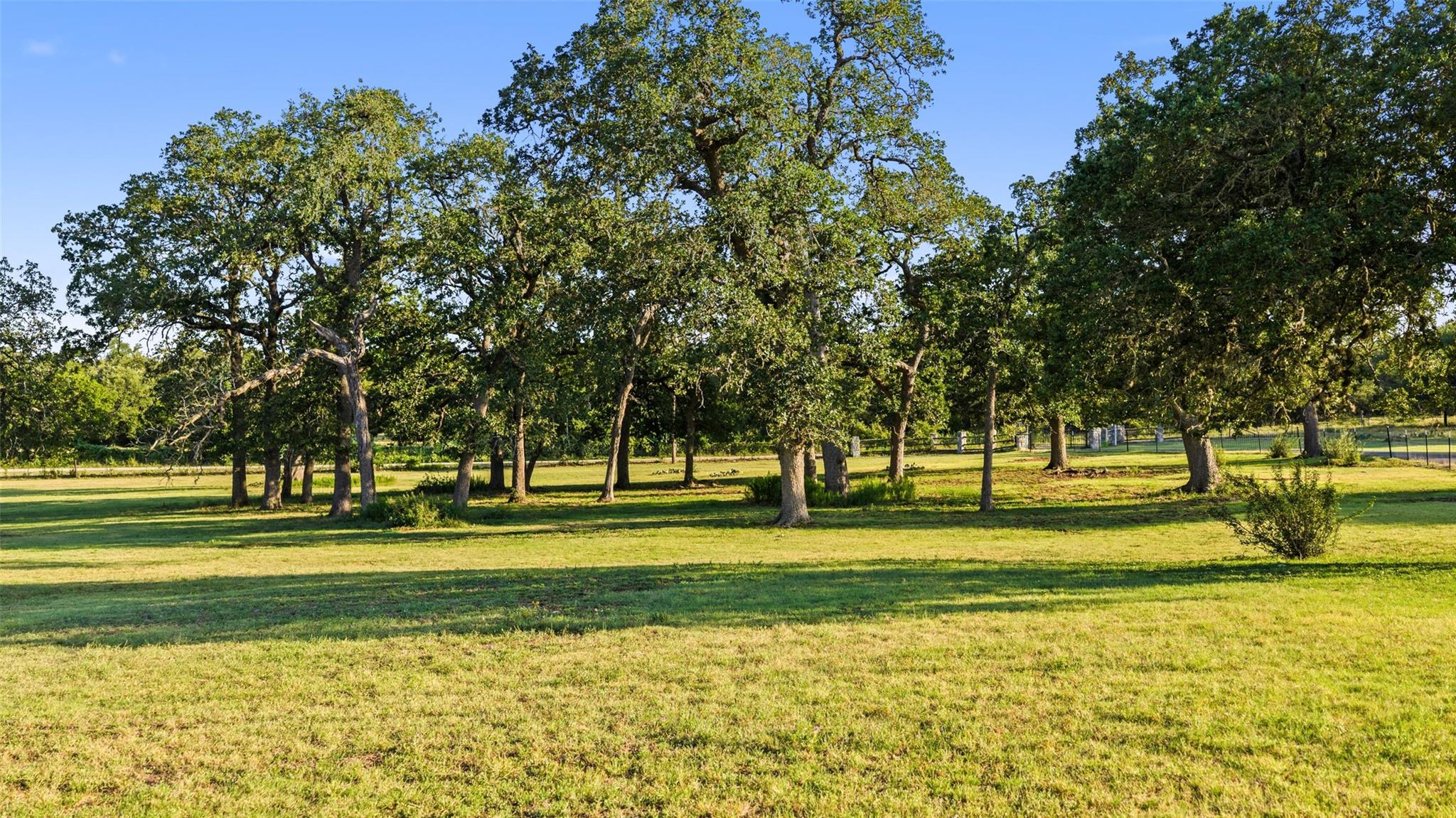 2501 Lone Man Mountain Rd Property Photo 40