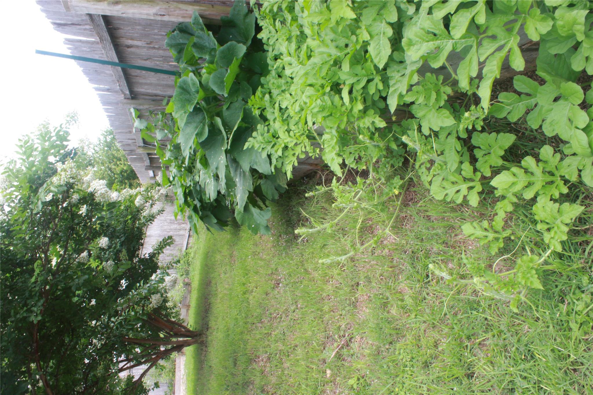 204 Precipice Way Property Photo 24