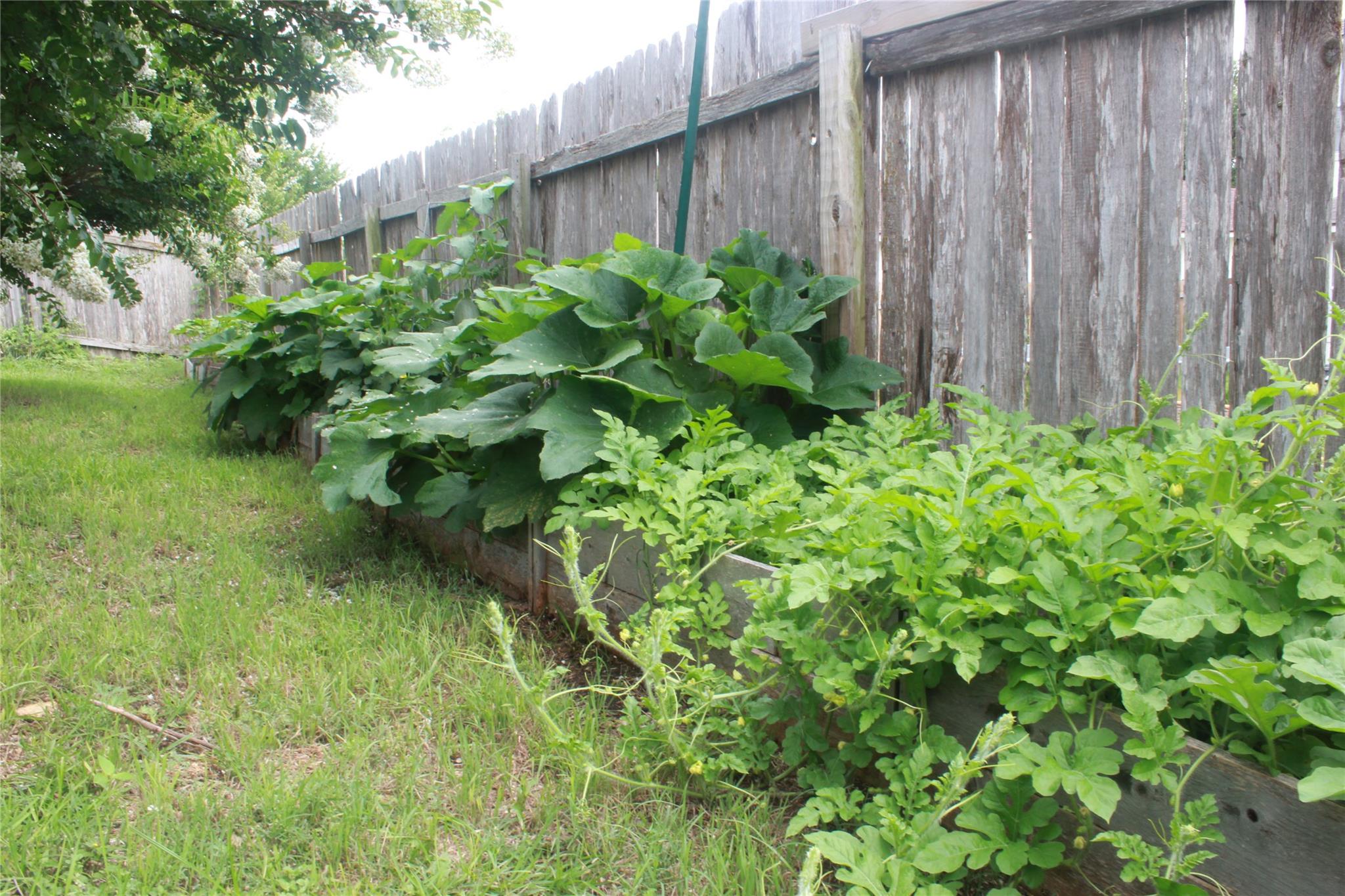 204 Precipice Way Property Photo 25