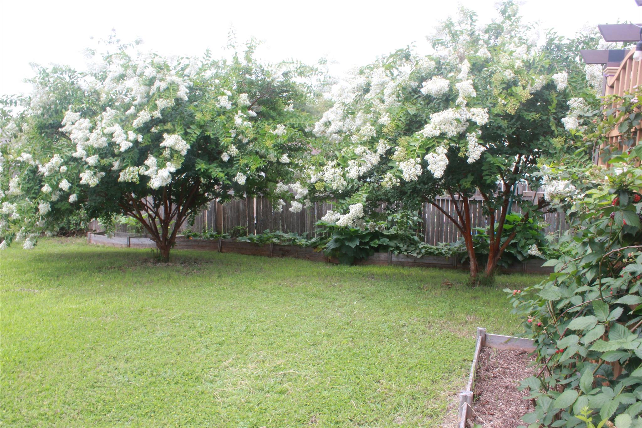 204 Precipice Way Property Photo 27