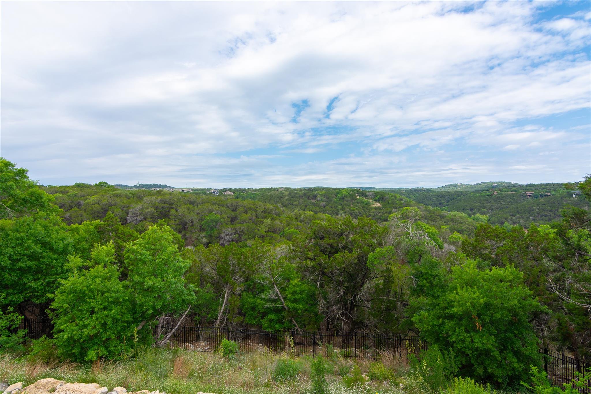 19108 Excursion Falls Way Property Photo 3