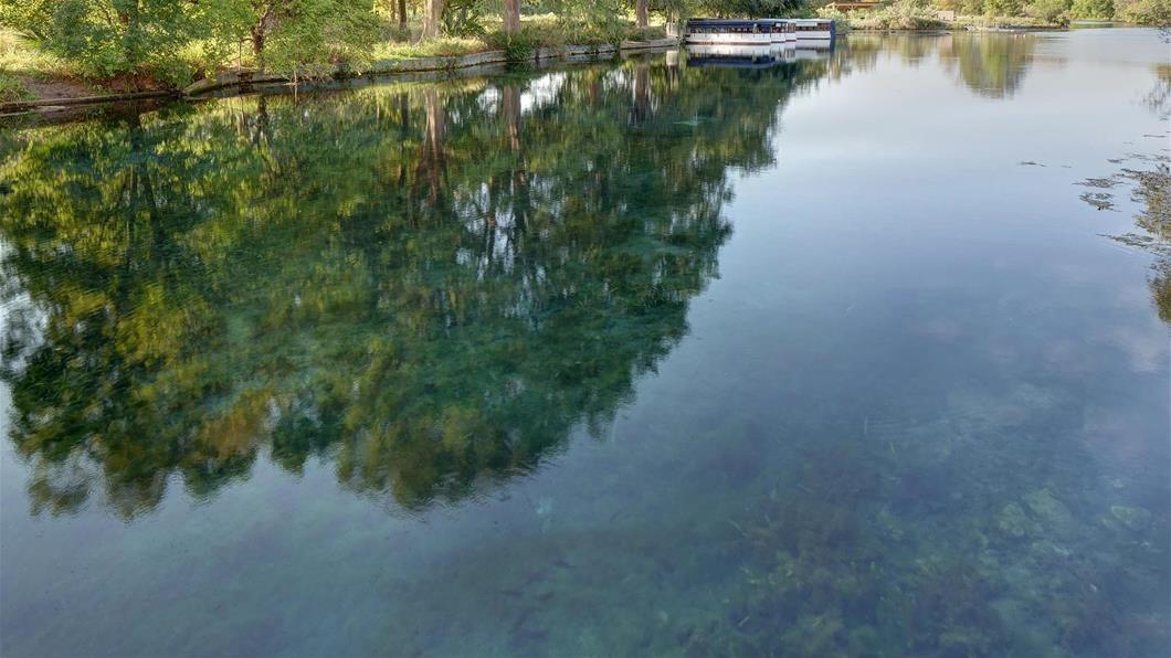 336 Puppy Dog Pass Property Photo 29