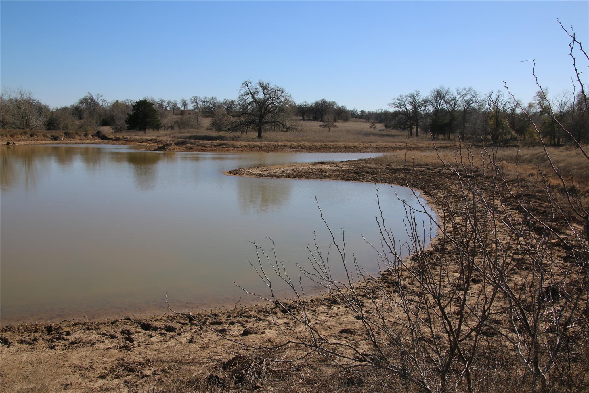 418 County Road 458a Property Photo 10