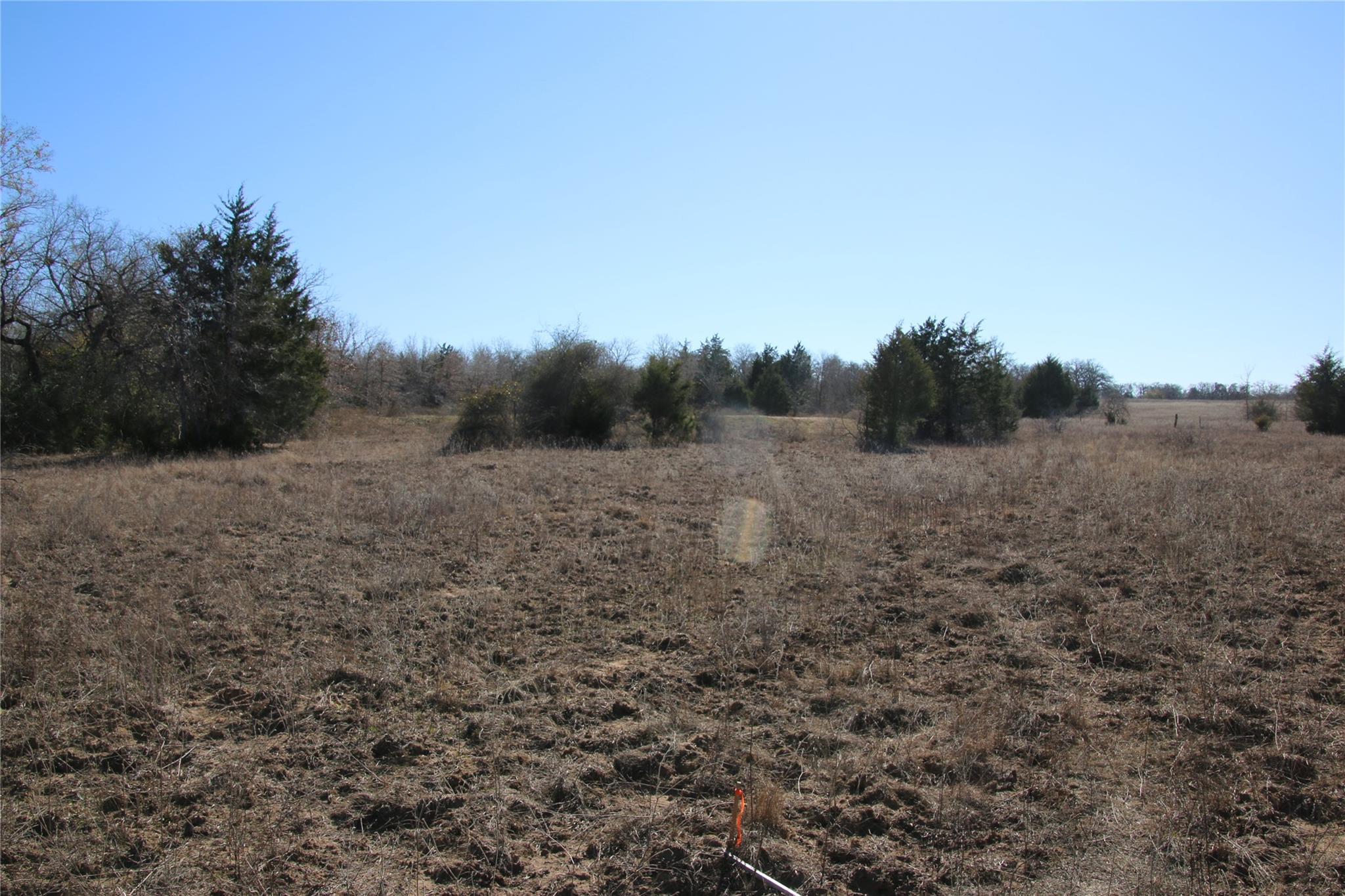 418 County Road 458a Property Photo 17