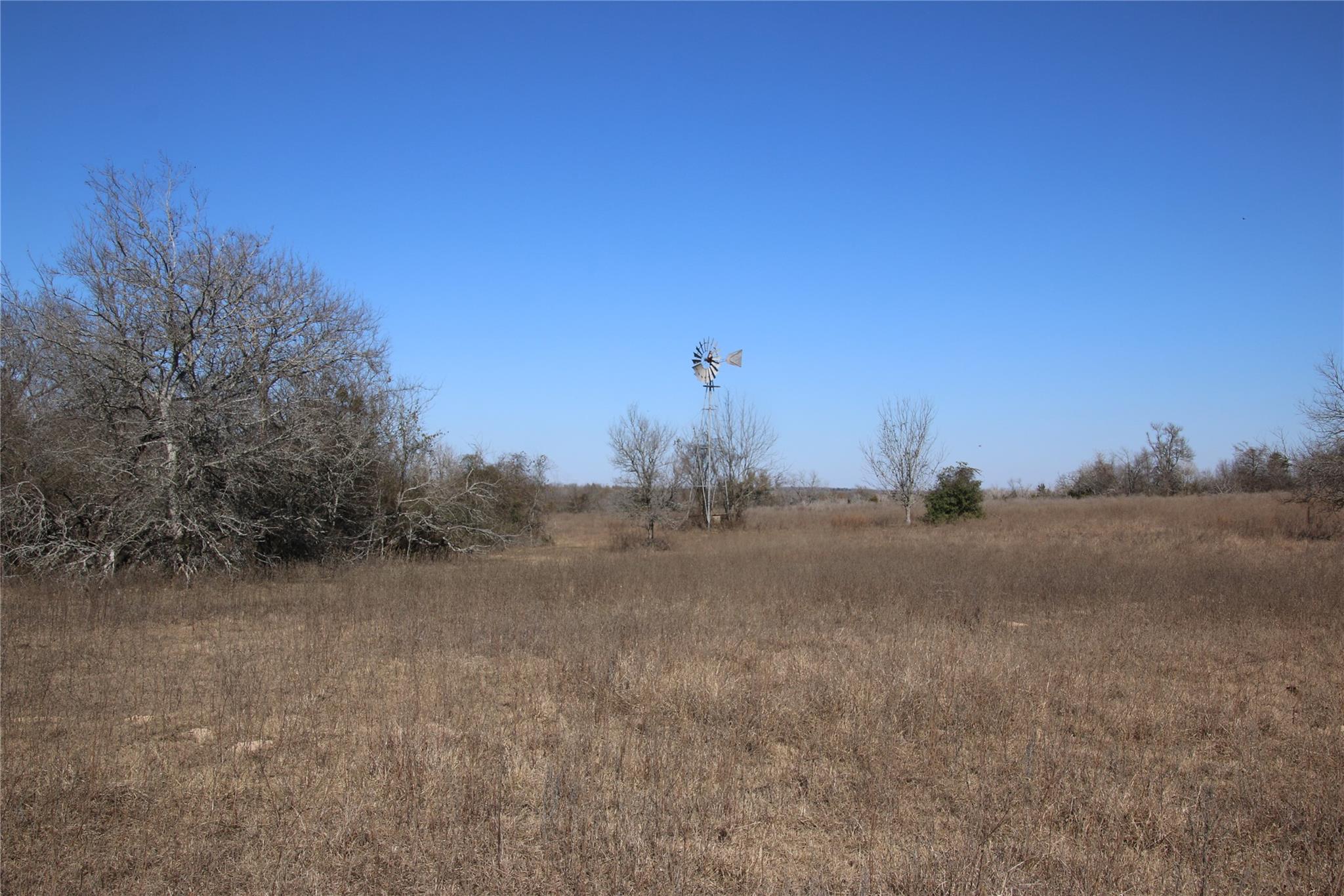 418 County Road 458a Property Photo 22