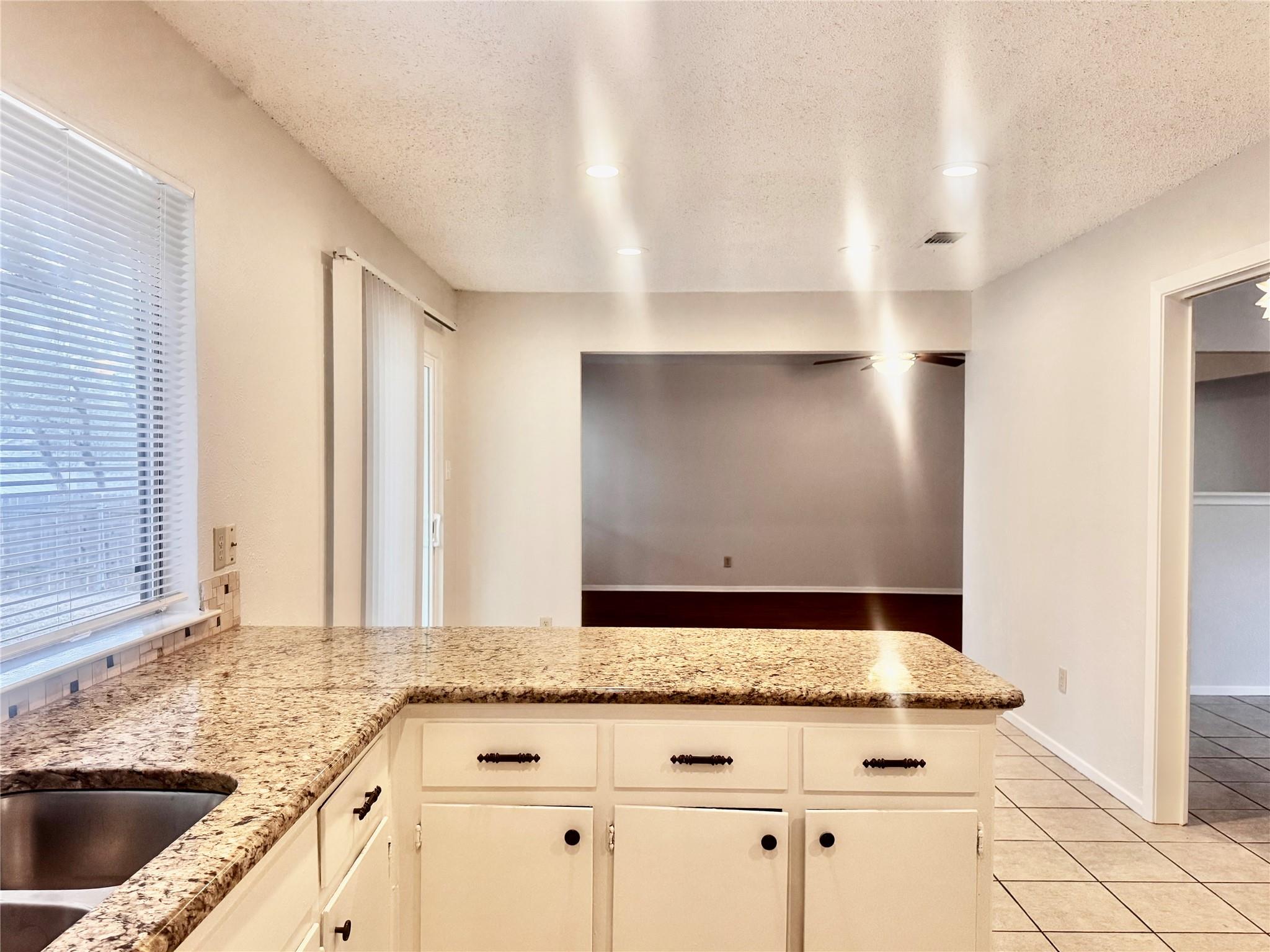 12001 Ladrido Ln Property Photo 16