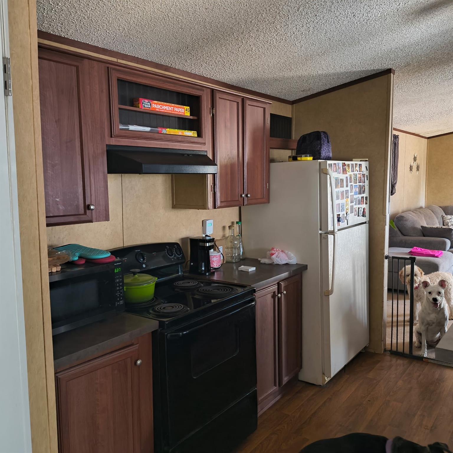 817 Petras Way Property Photo 11