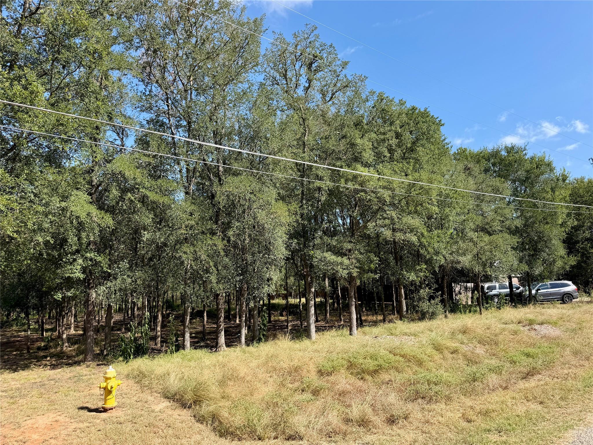 208 Waipahoehoe Dr Property Photo 1
