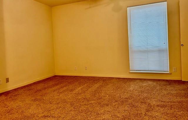 2800 Cole St C204 Property Photo 11