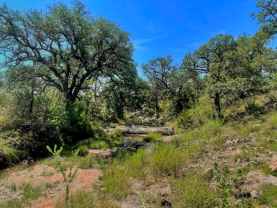 Lot 8 Legacy Ridge None Property Photo 1