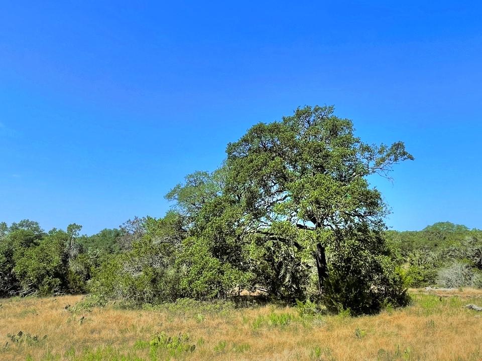Lot 8 Legacy Ridge None Property Photo 6