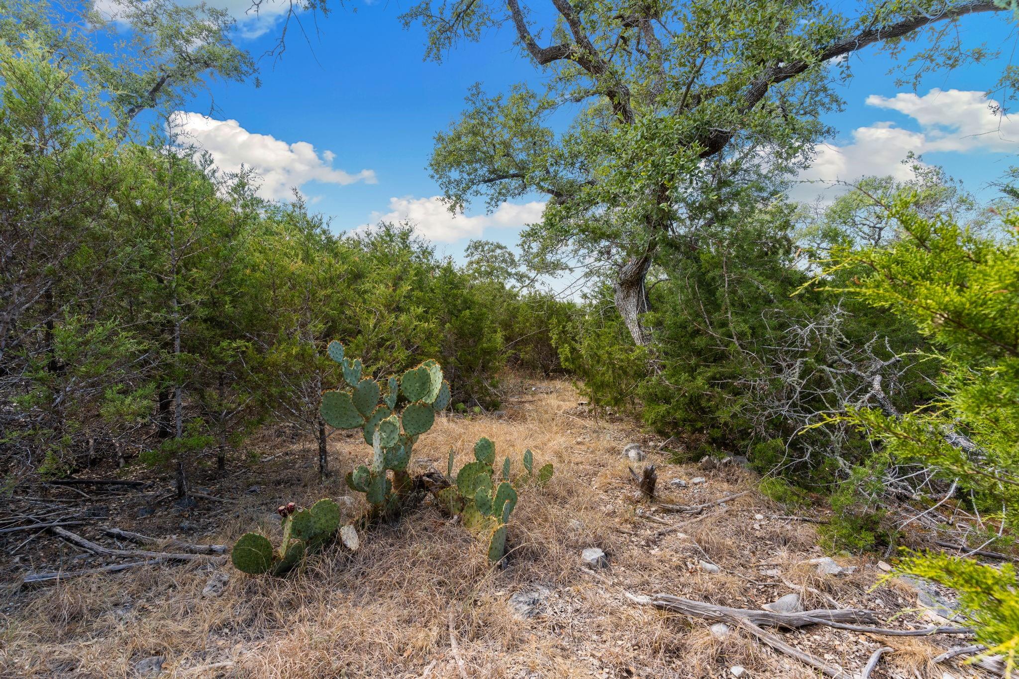 2974152 Property Photo 1