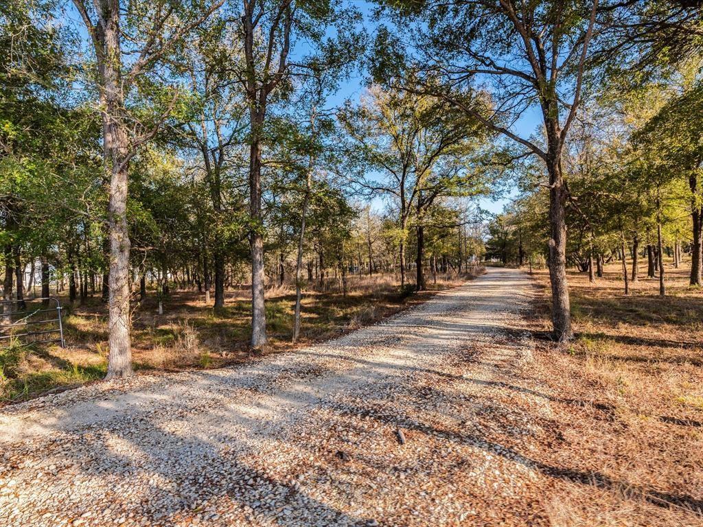 3675 Callihan Rd Property Photo 3