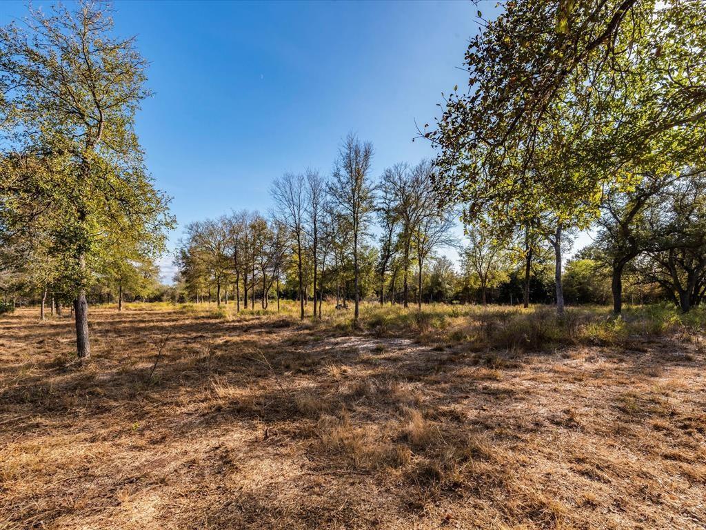 3675 Callihan Rd Property Photo 29