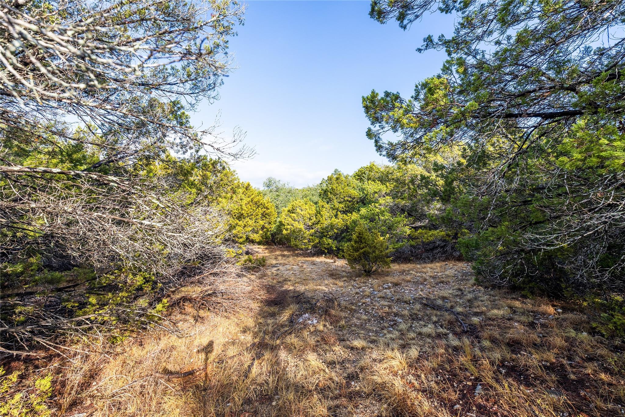 21402 Broken Bow Cv Property Photo