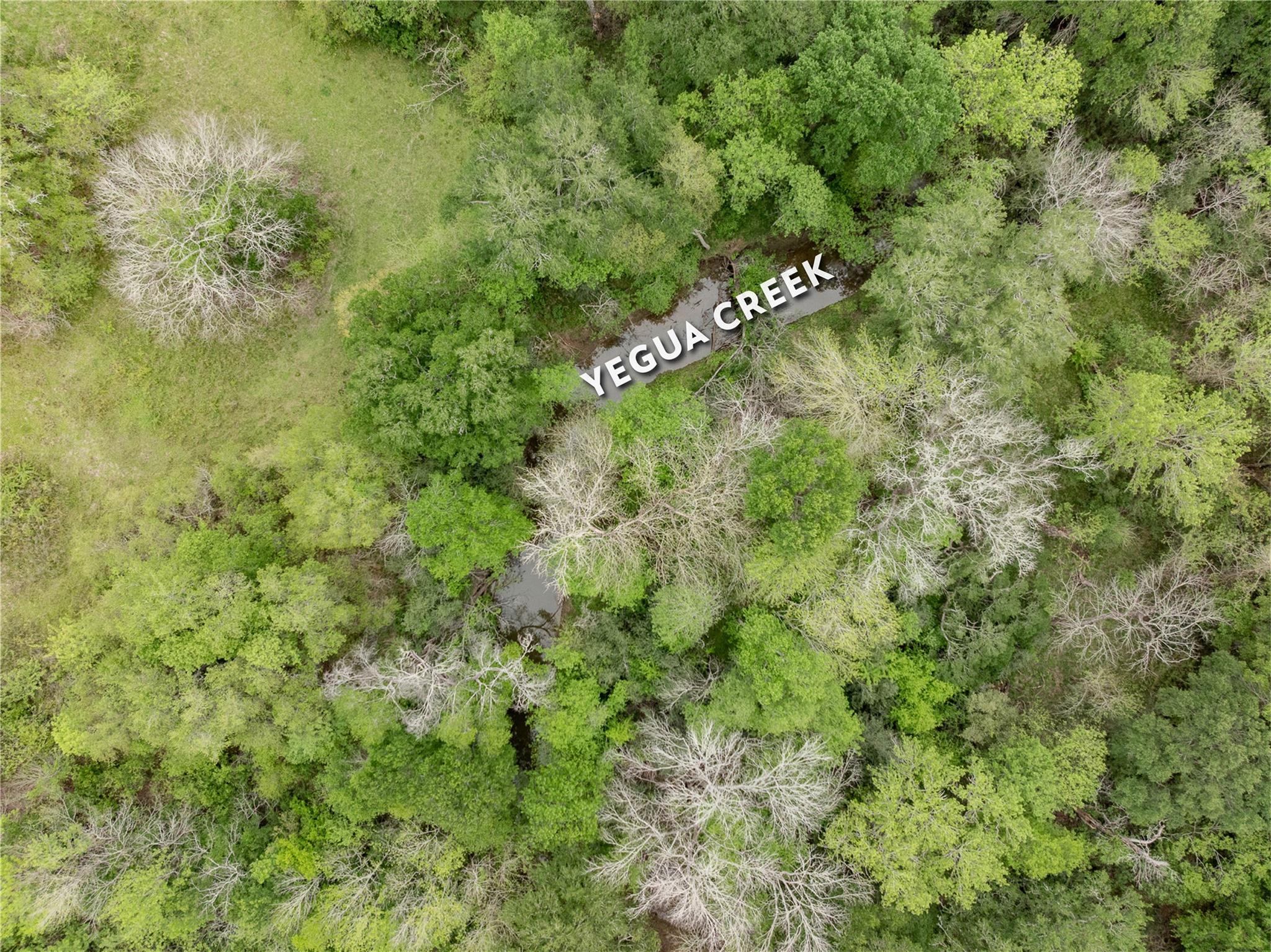 Tbd County Road 433 None Property Photo 1