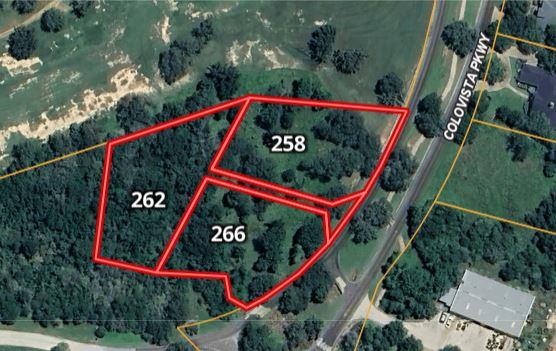 262 Colovista Pkwy Property Photo