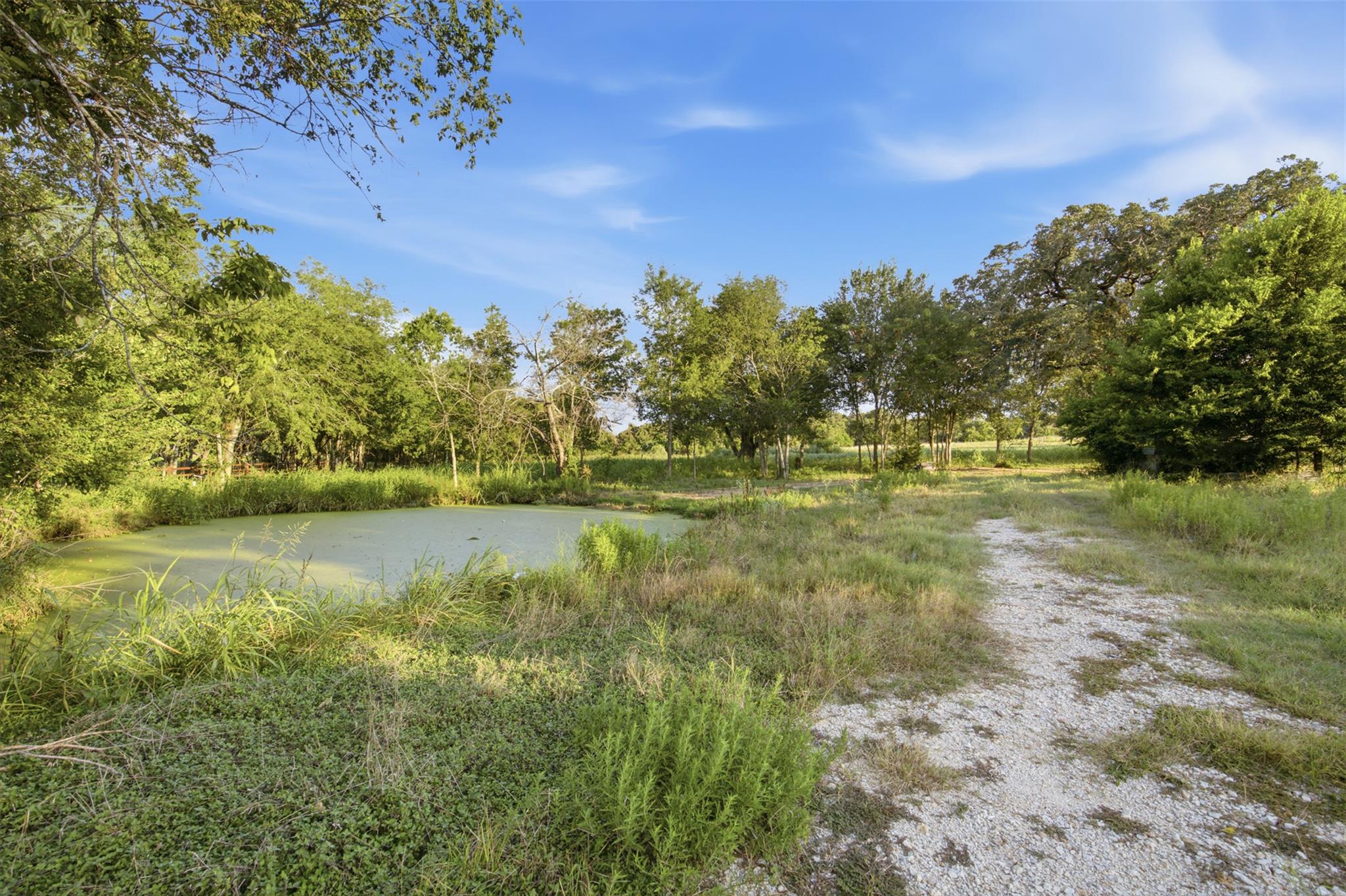 851 N Fm 908 None Property Photo 12