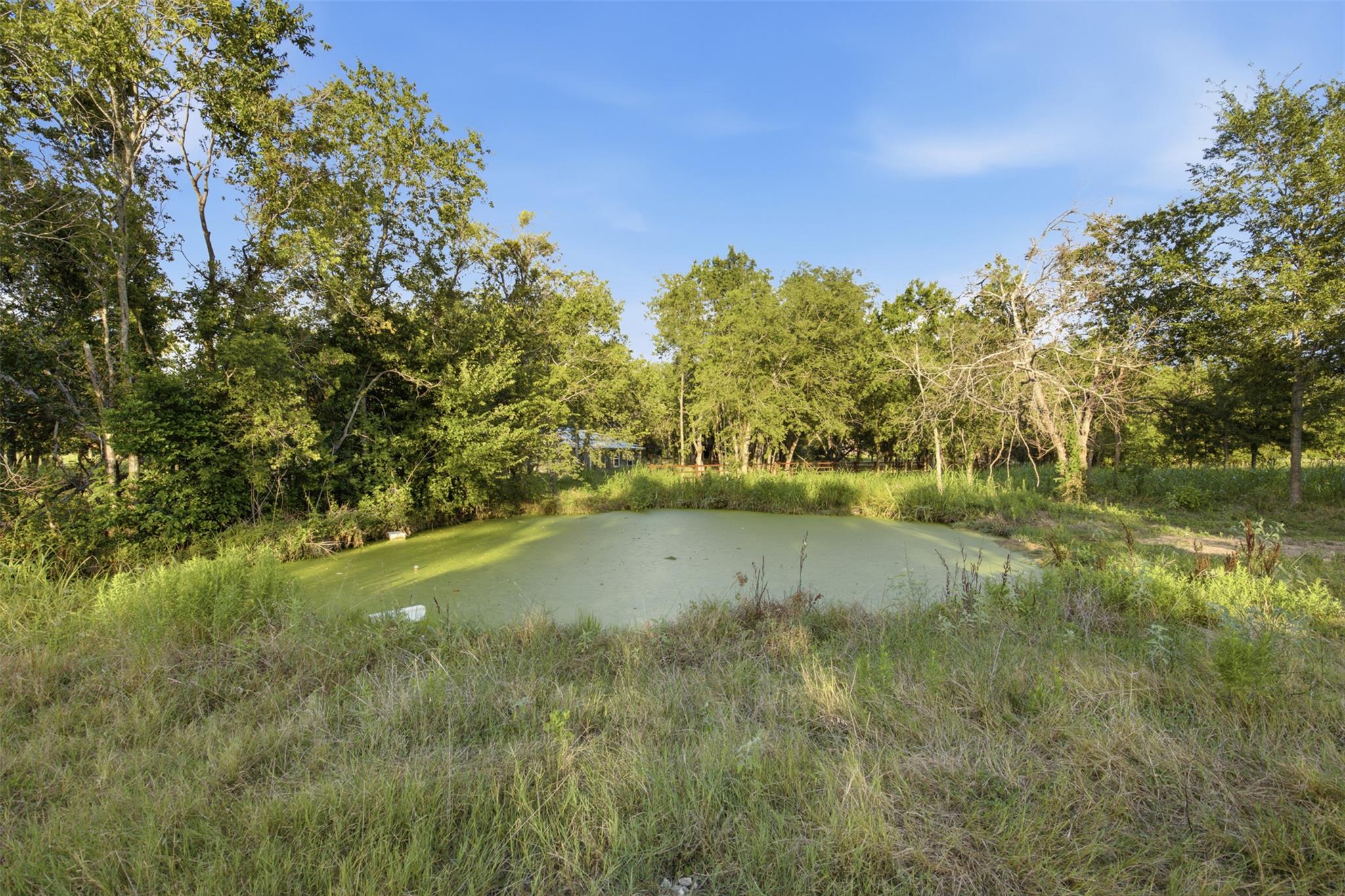 851 N Fm 908 None Property Photo 13