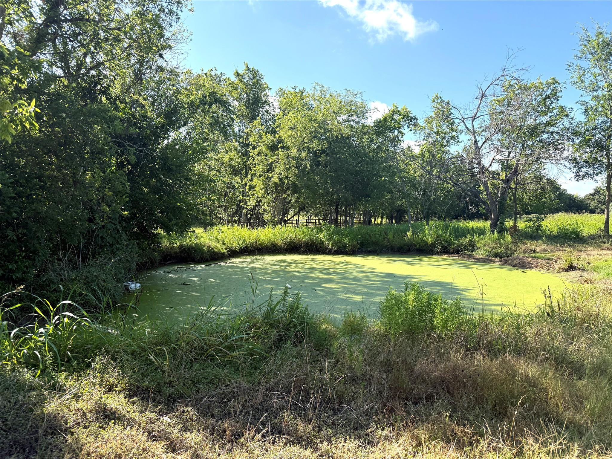 851 N Fm 908 None Property Photo 20