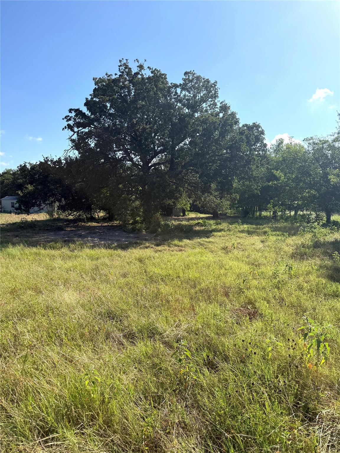 851 N Fm 908 None Property Photo 22