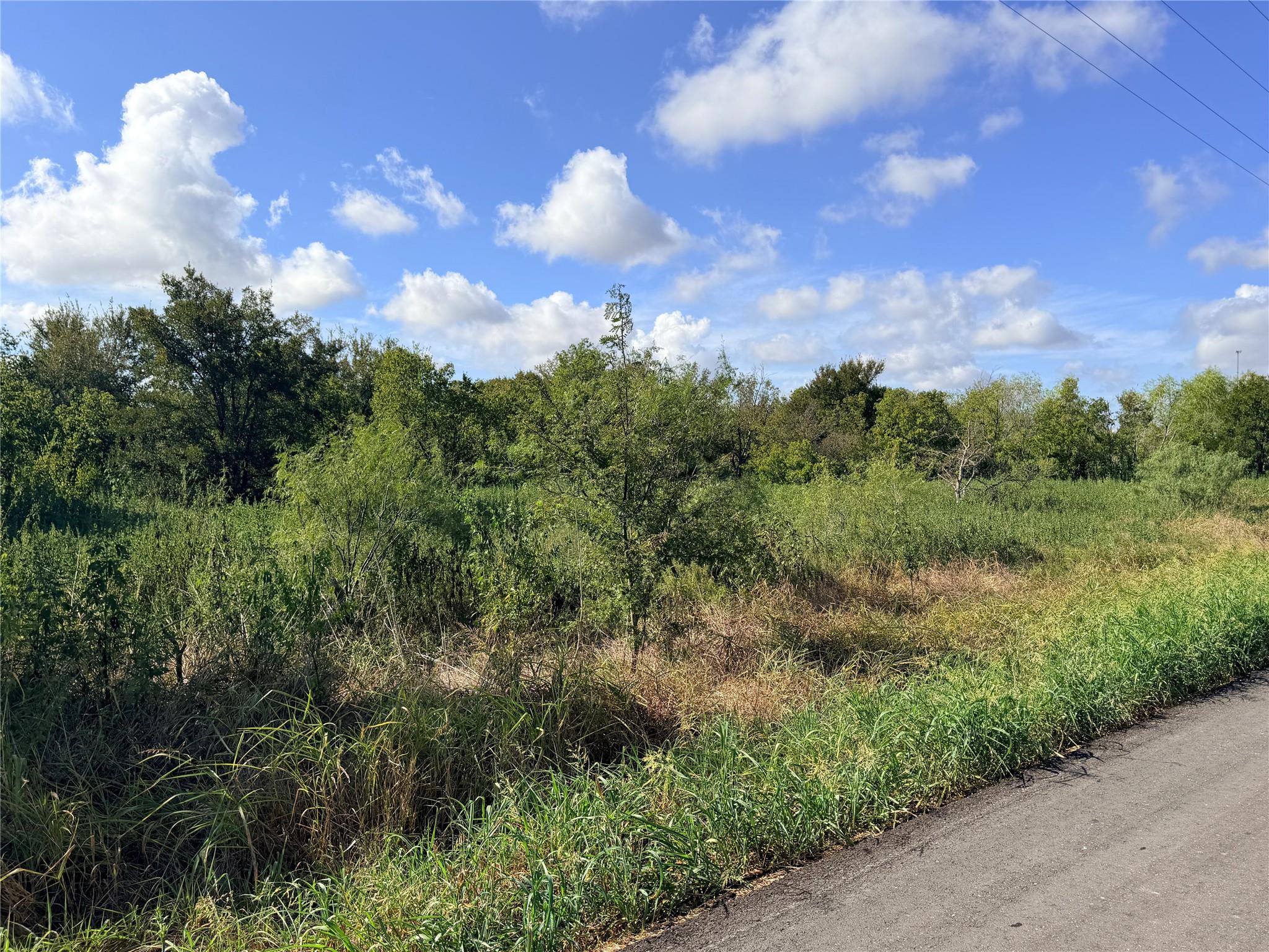 Tbd County Road 133 Lot 2 None Property Photo 7